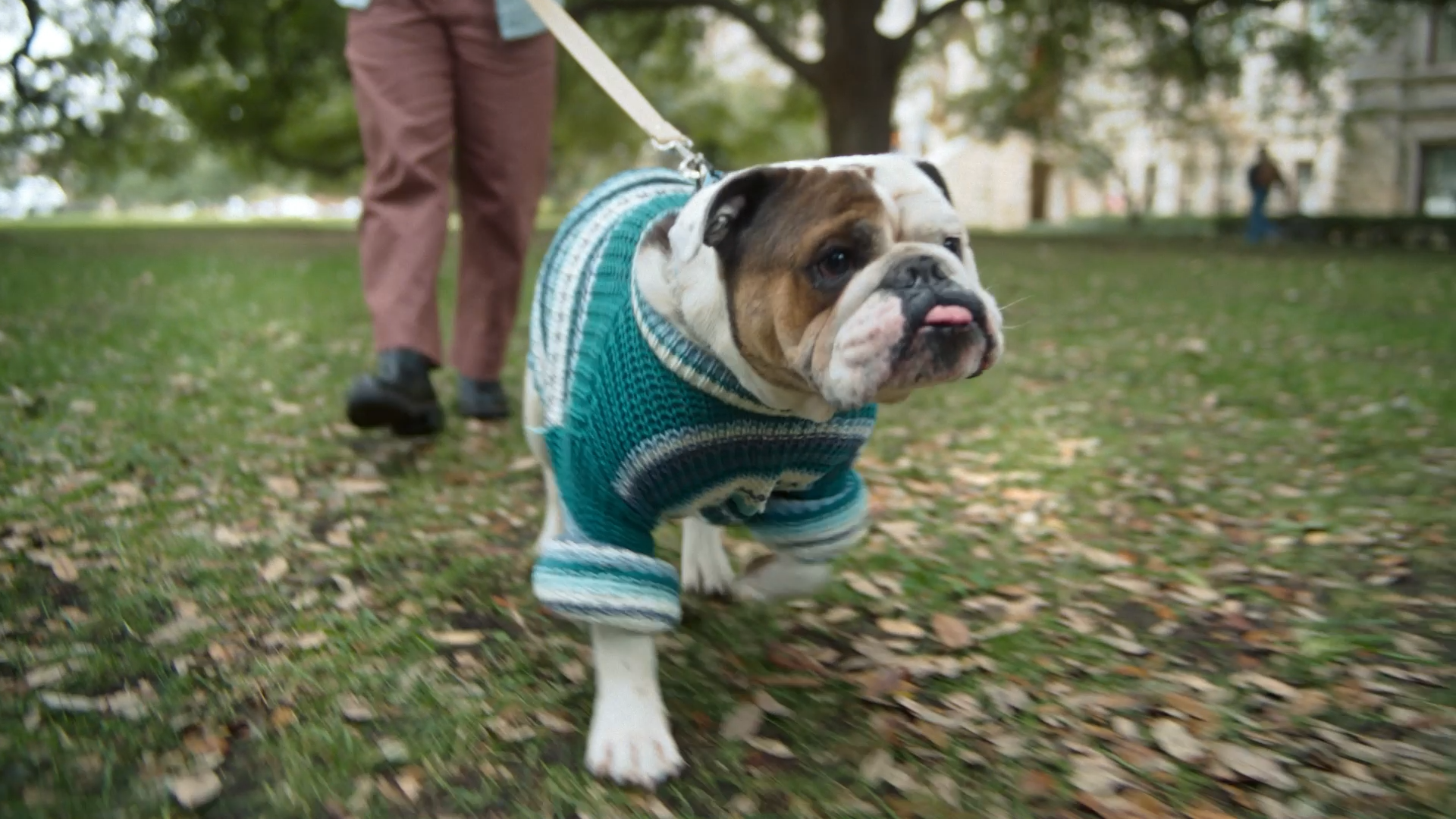 Sequence 01.00_00_33_11.Still011.png