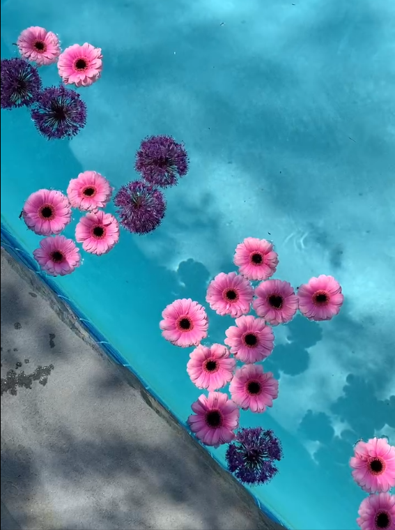 Pink and purple flowers floating on the surface of a swimming pool.