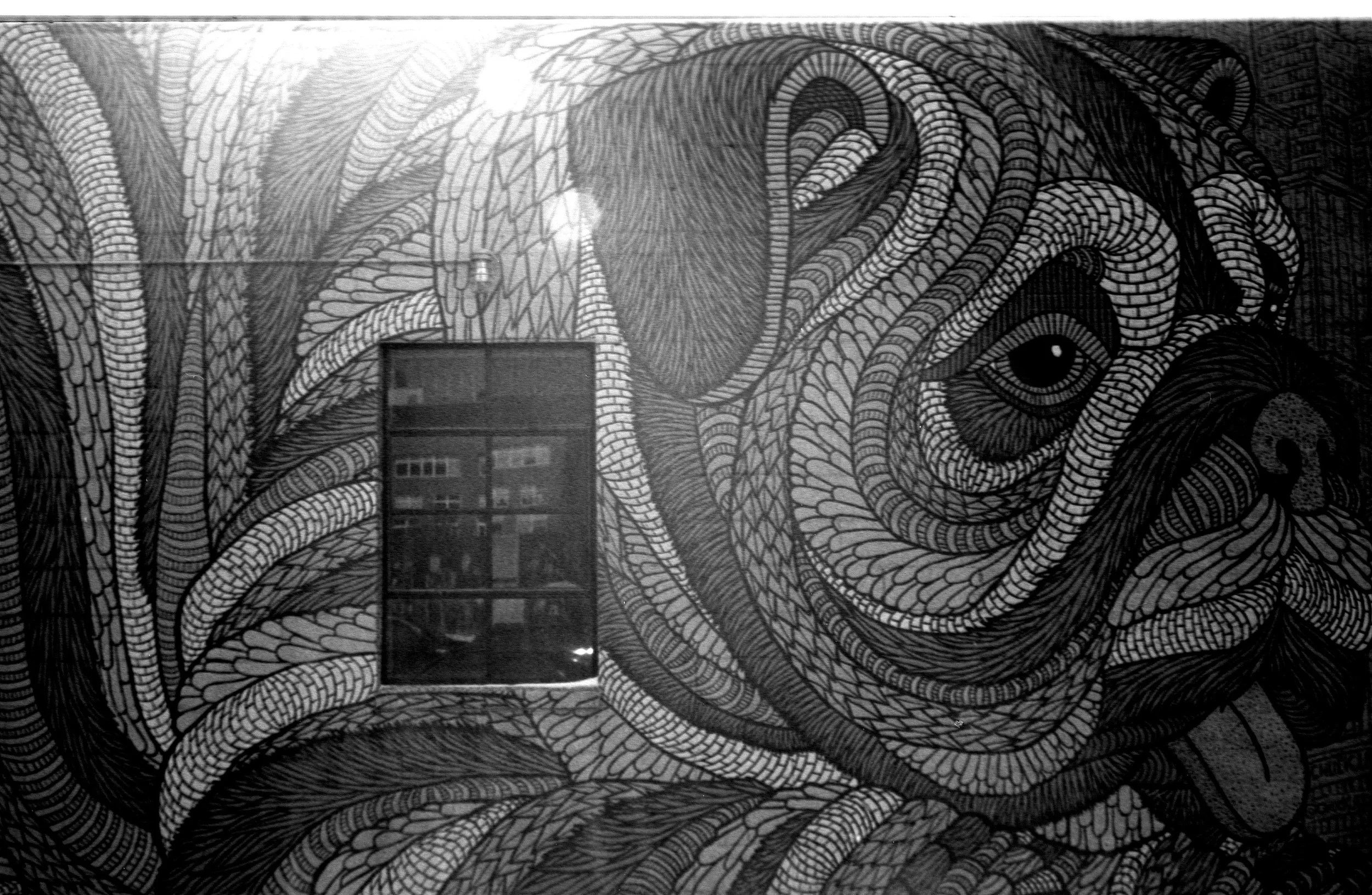 A black and white mural of a dog, possibly a pug, with intricate swirling patterns and eye details.