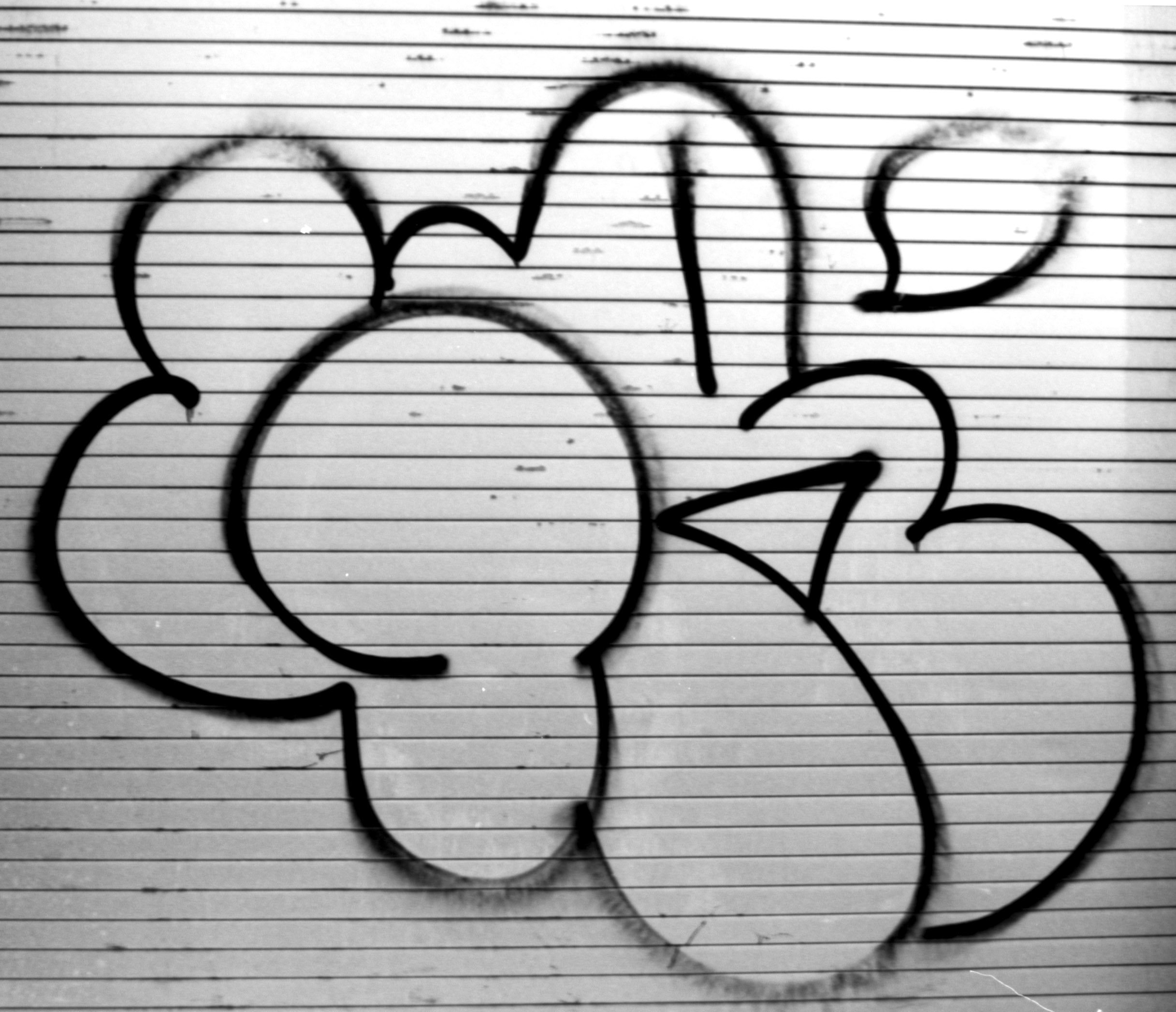 A spray-painted graffiti image of a flower on a corrugated metal wall.