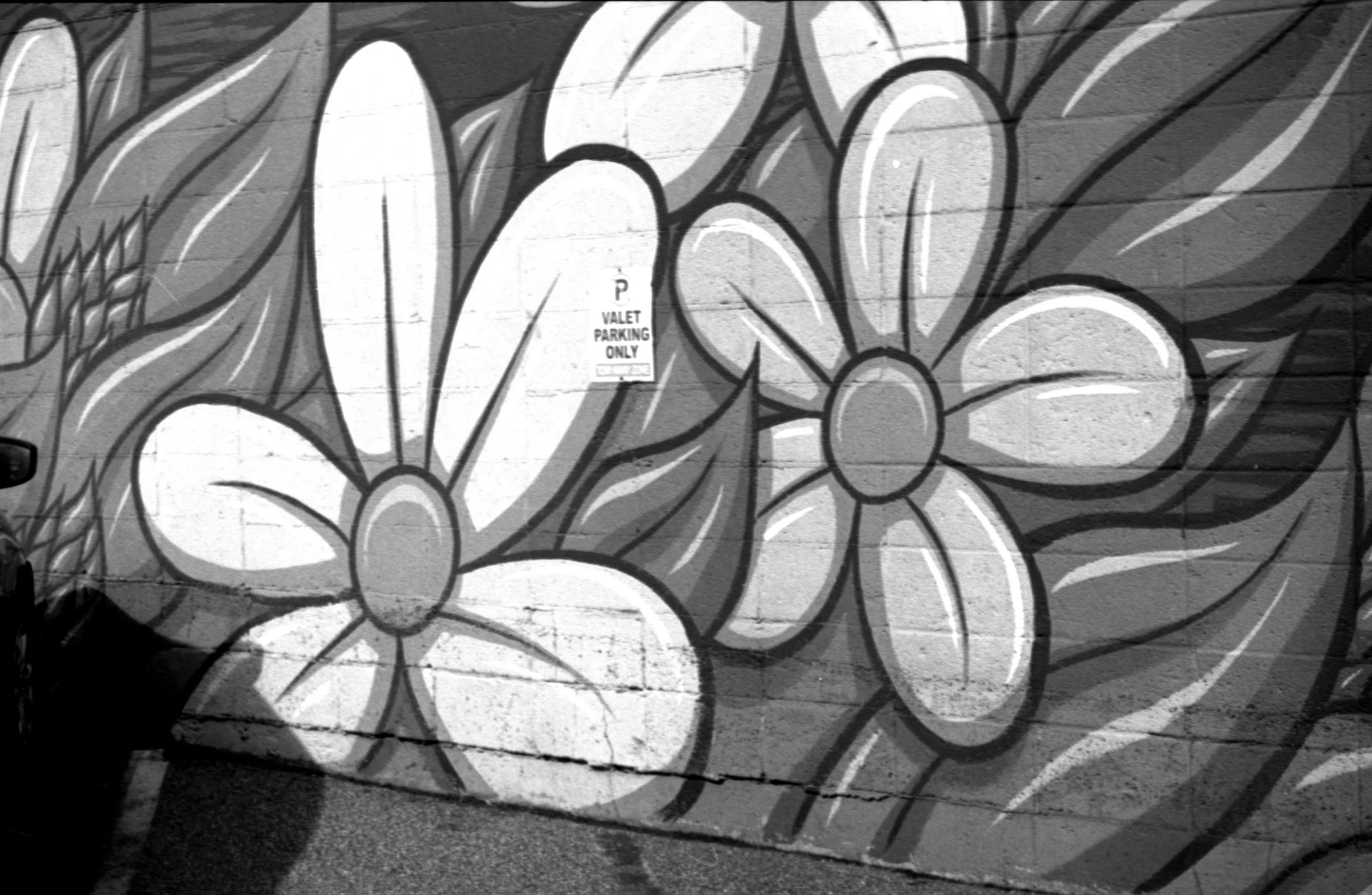 Black and white mural of large flowers and leaves painted on a brick wall, with a small sign that reads 'Valet Parking Only'.