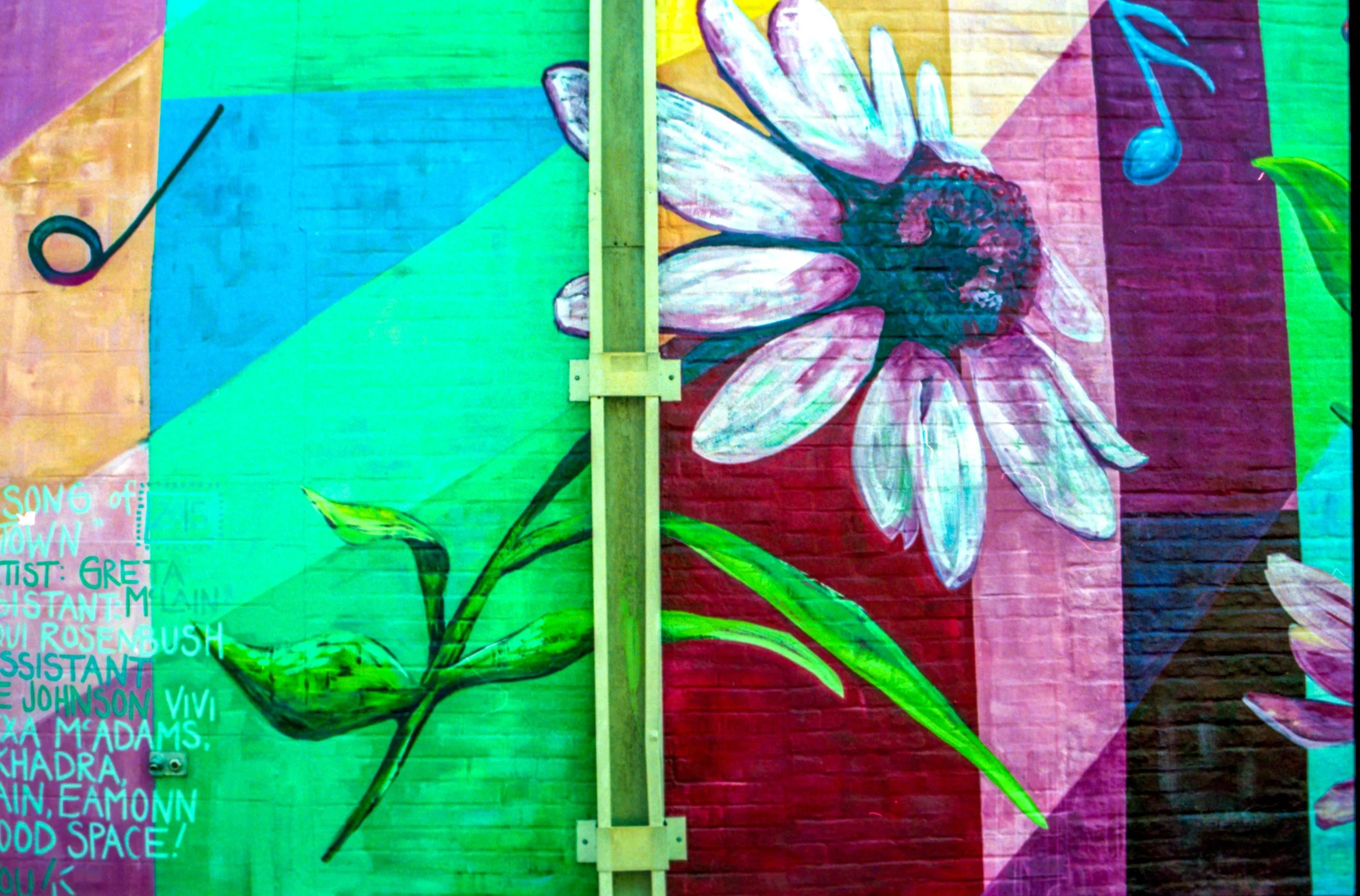 Colorful mural painting on a brick wall featuring a large pink and white daisy with green leaves, musical notes, and text in various colors.