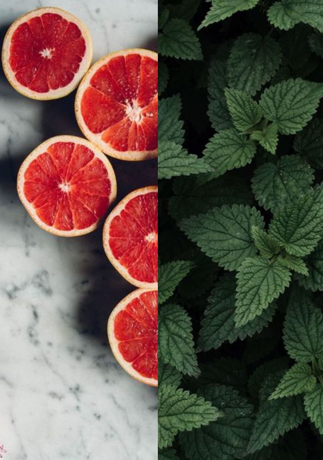 PEPPERMINT GRAPEFRUI.jpg
