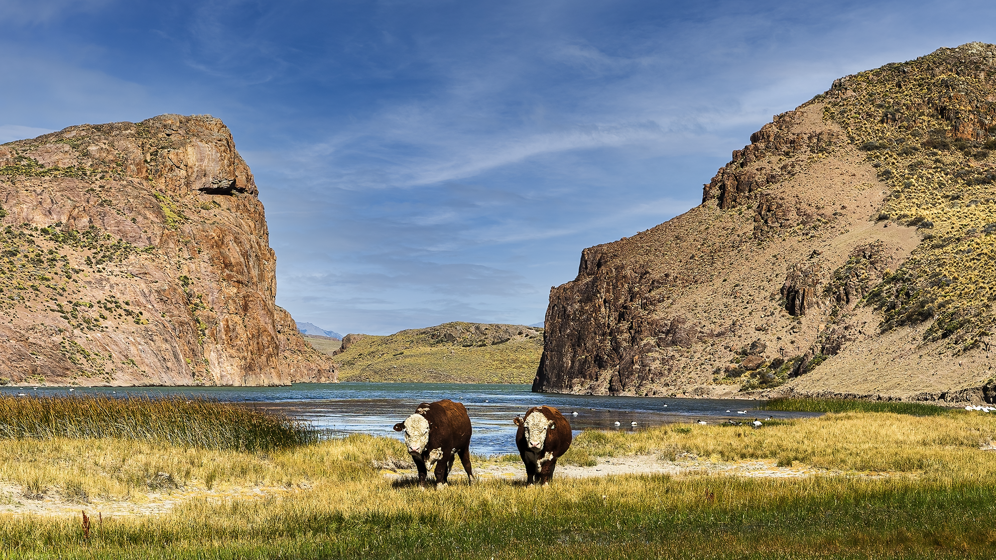 Patagonia - Friends -t.png