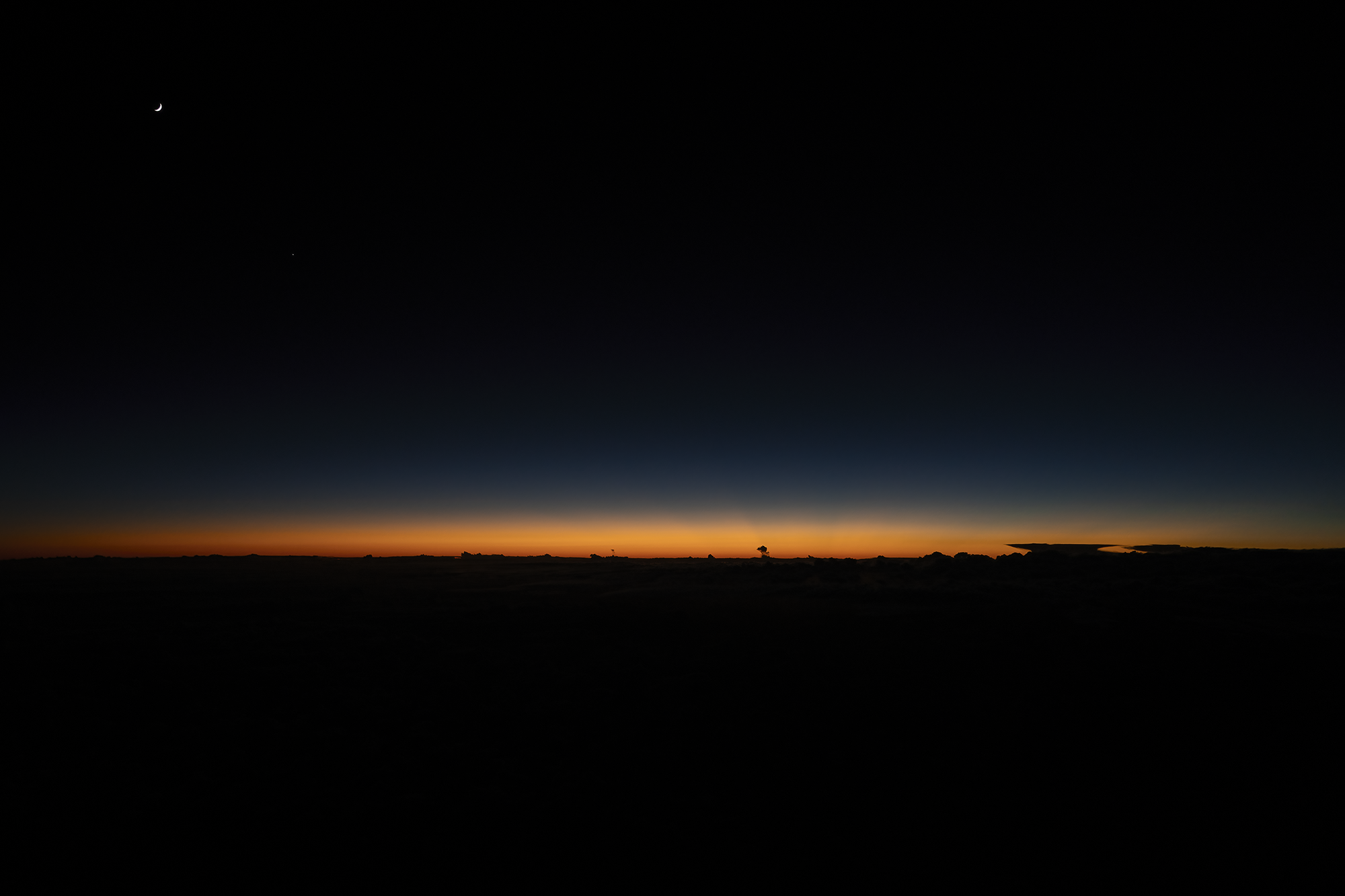 Jellyfish on the Horizon -t.png