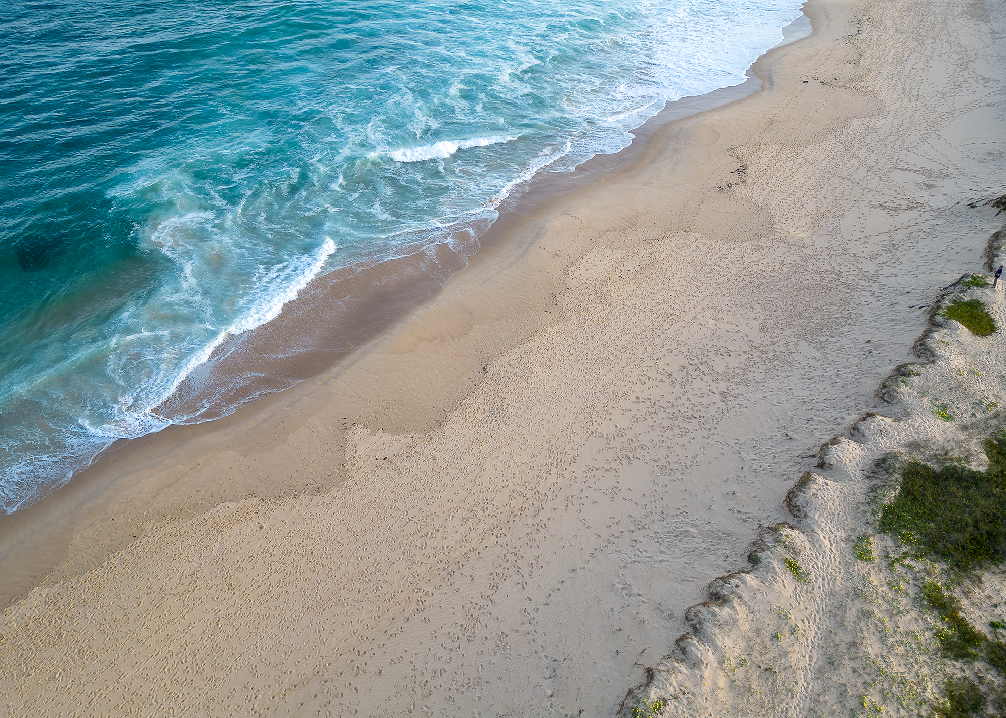 Australia - Salt Water and Sand -t.png
