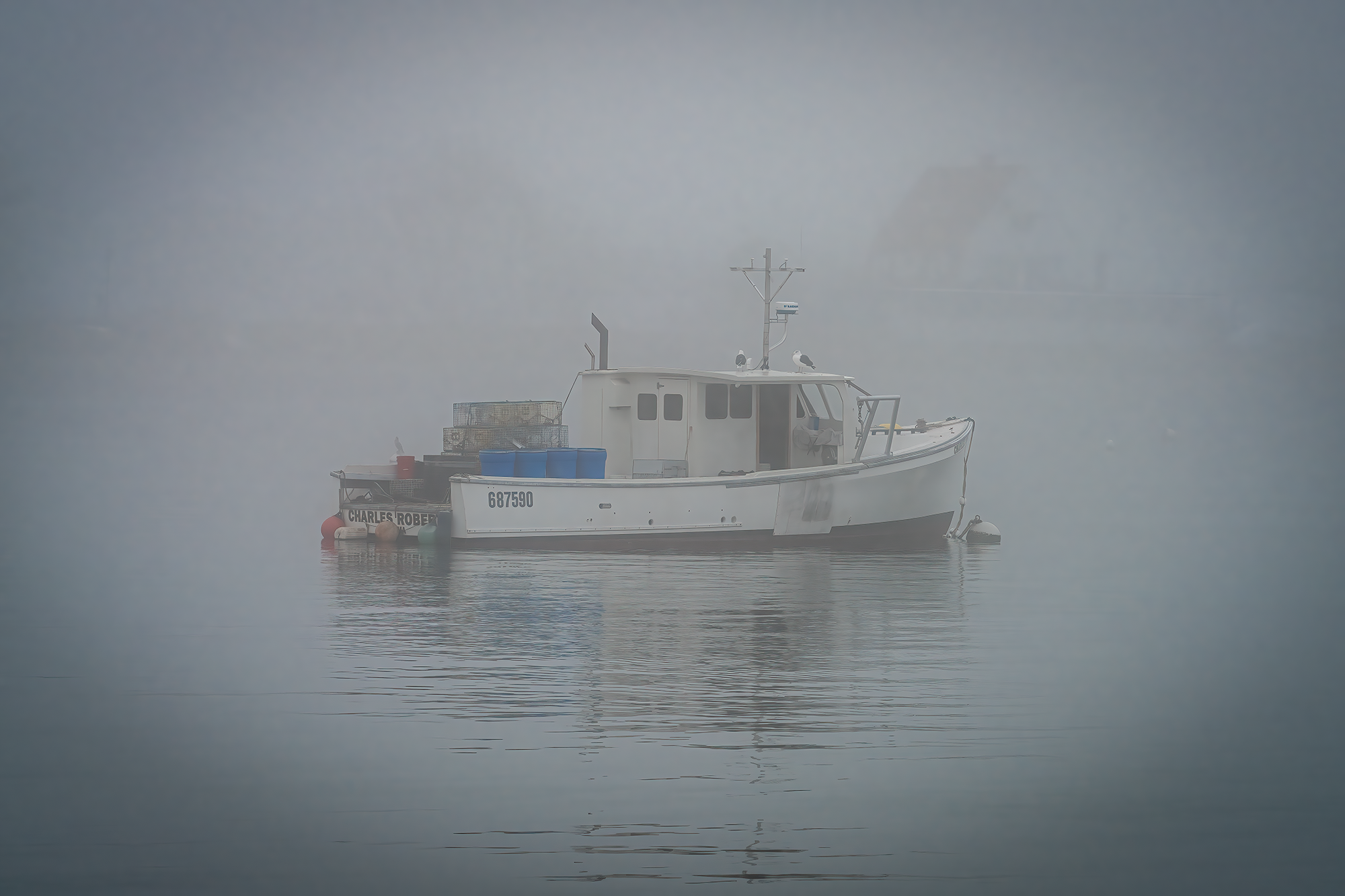 US - Foggy Apparition -t.png