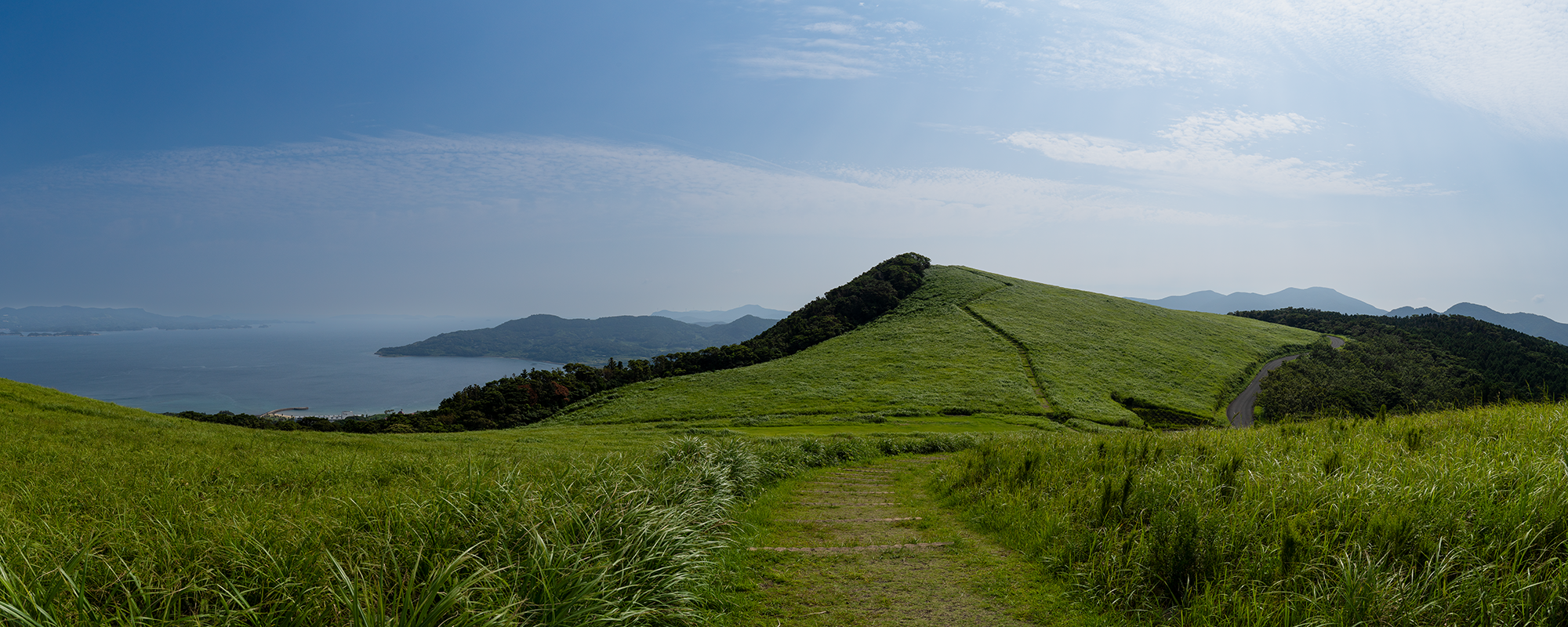 Japan - Green Fields -t.png