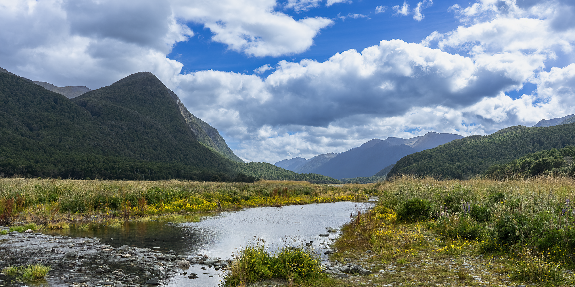 New Zealand - Streams -t.png