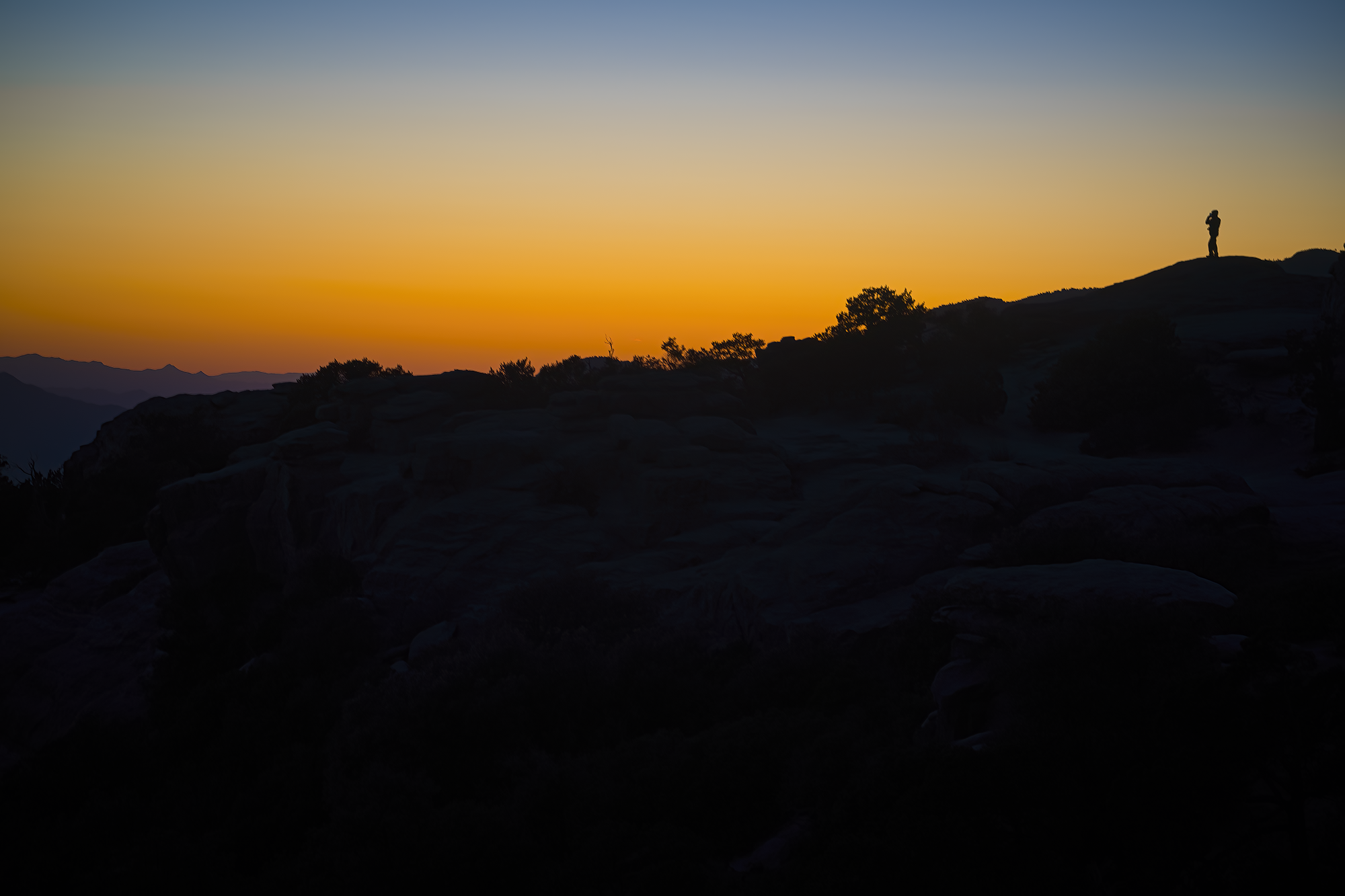 US - The Orange Hour -t.png