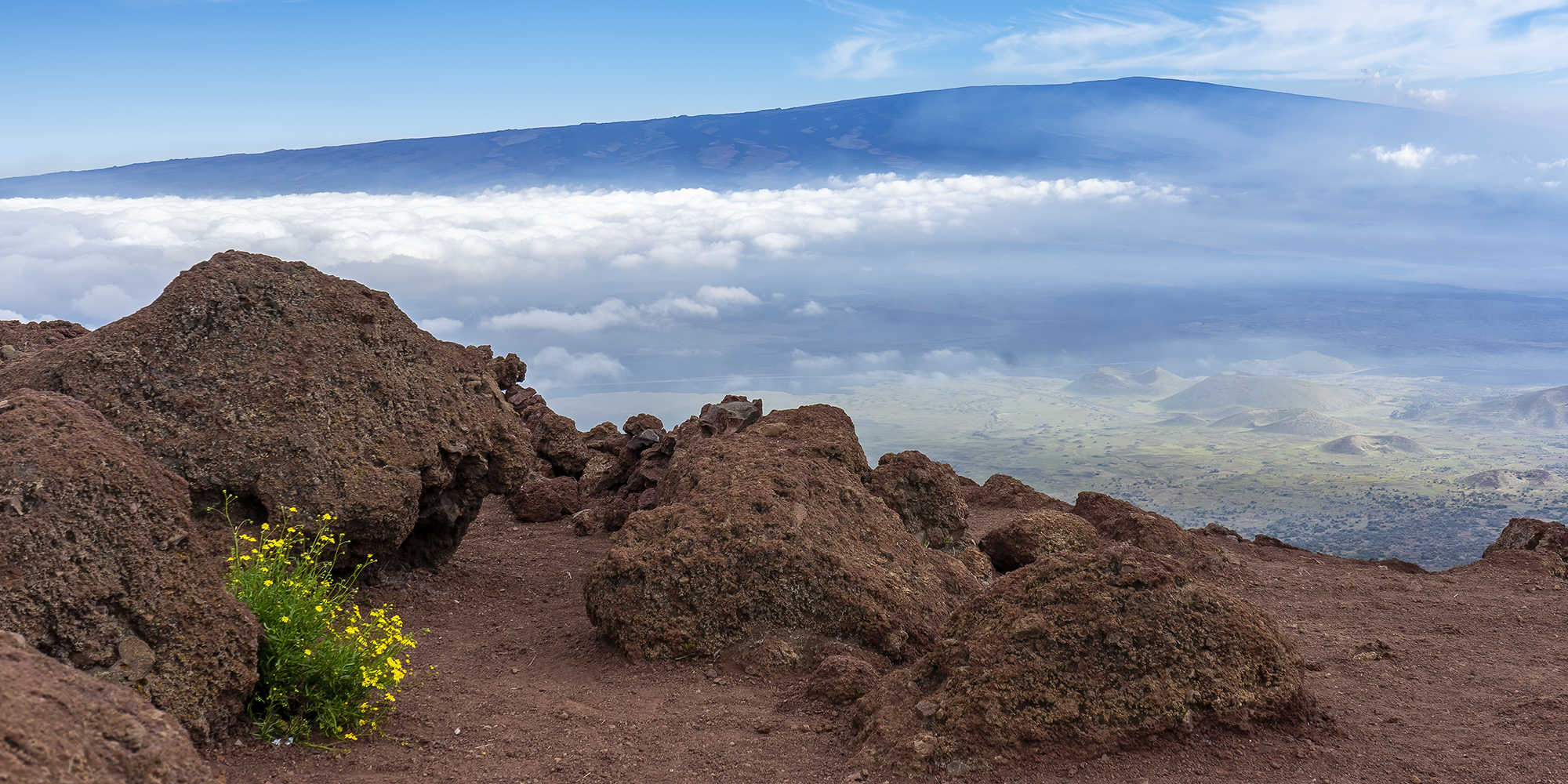 Hawaii - High Point -t.png