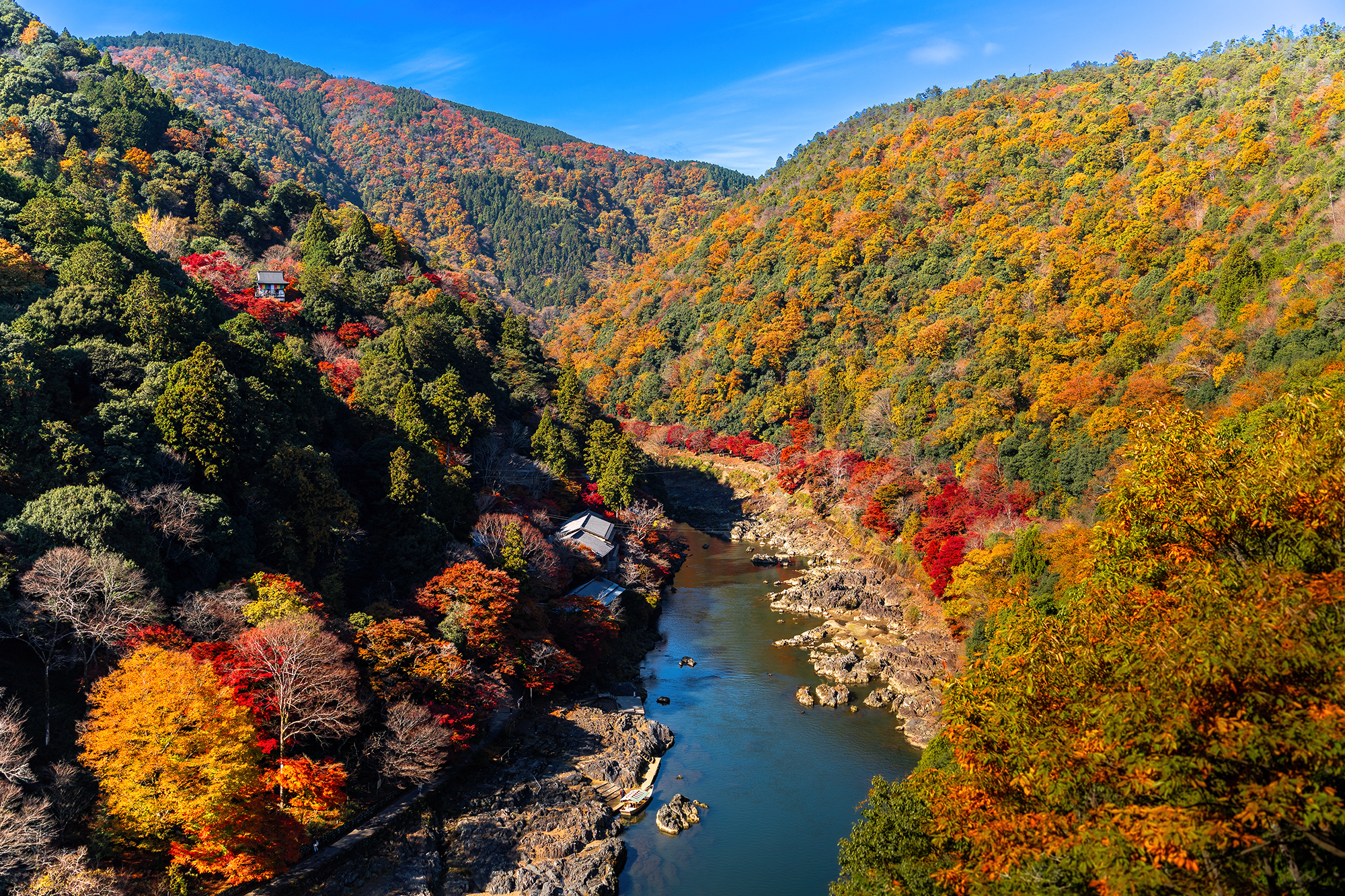 Japan - Fall Colors -t.png