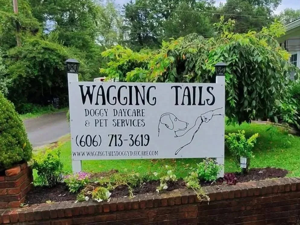 Sign advertising Wagging Tails doggy daycare and pet services, with a phone number and website, surrounded by greenery and flowers.