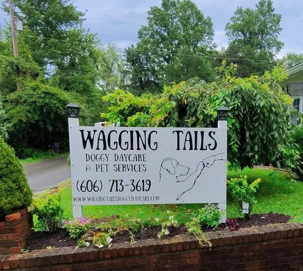 Sign for Wagging Tails Doggy Daycare and Pet Services with a dog illustration pointing, phone number, and website URL in front of a garden and green trees.
