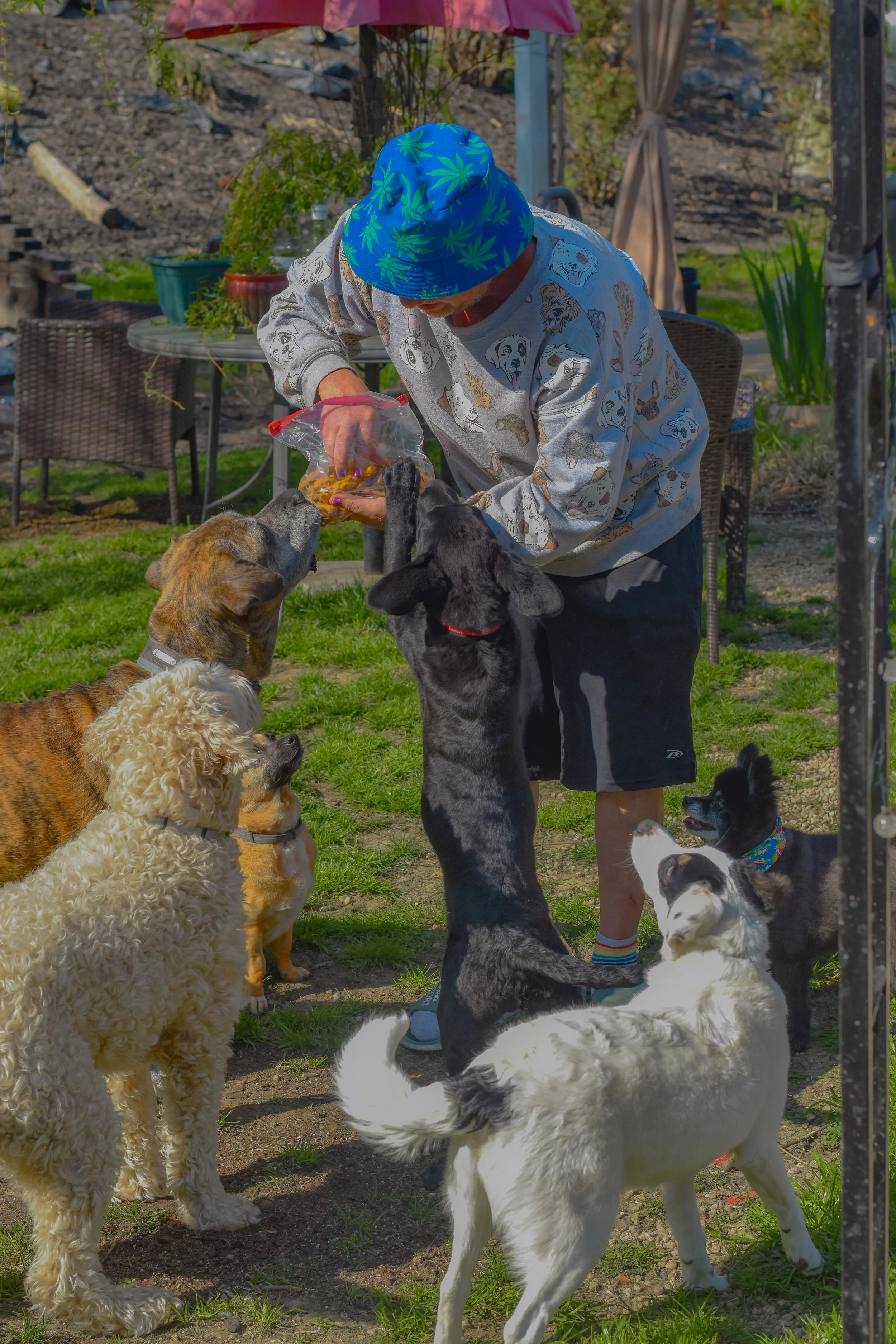 DSC_0306.jpg