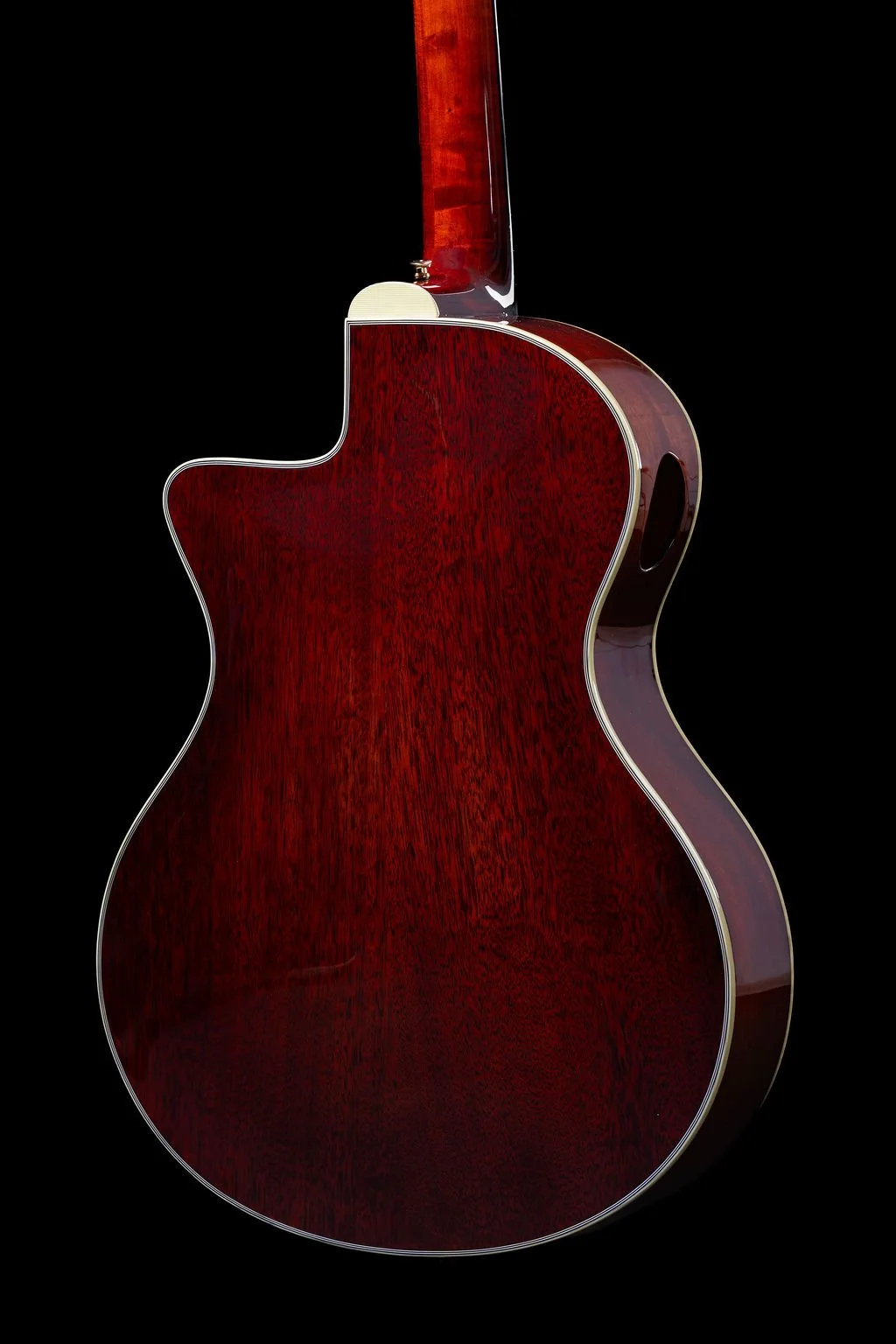 Eastman Back Detail.jpg