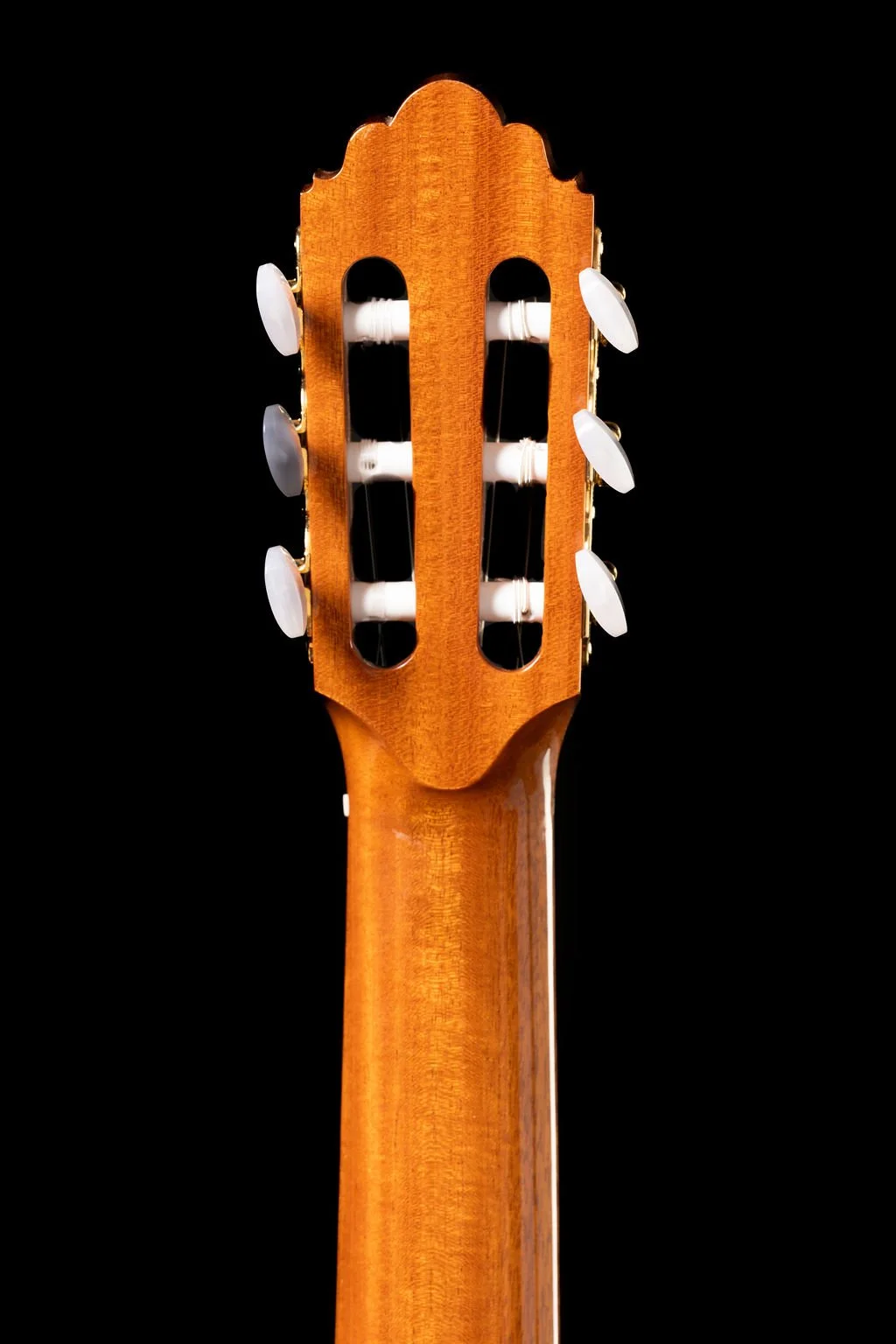 Brandt - Back Headstock.jpg