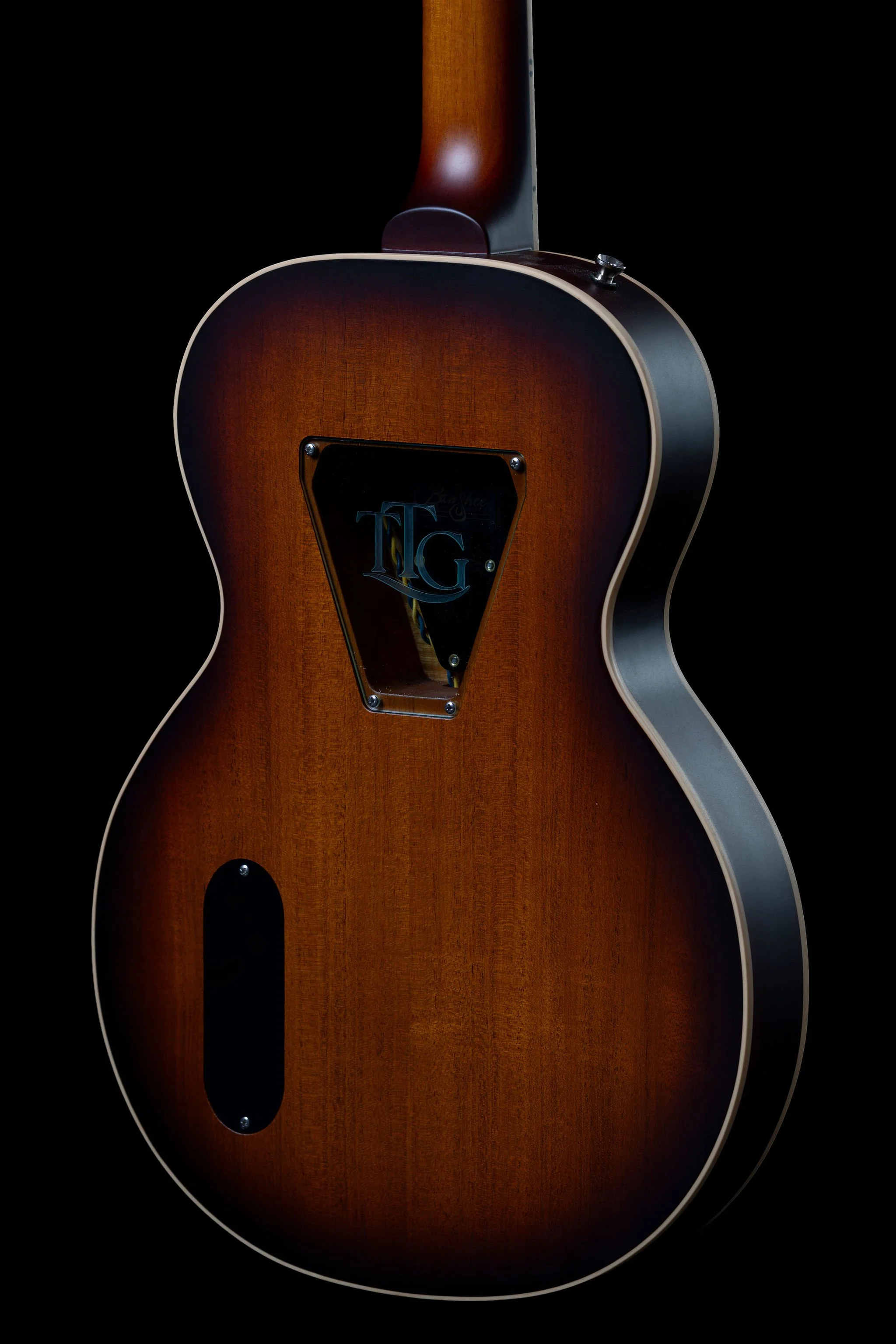 Texas T Icon Back Detail.jpg