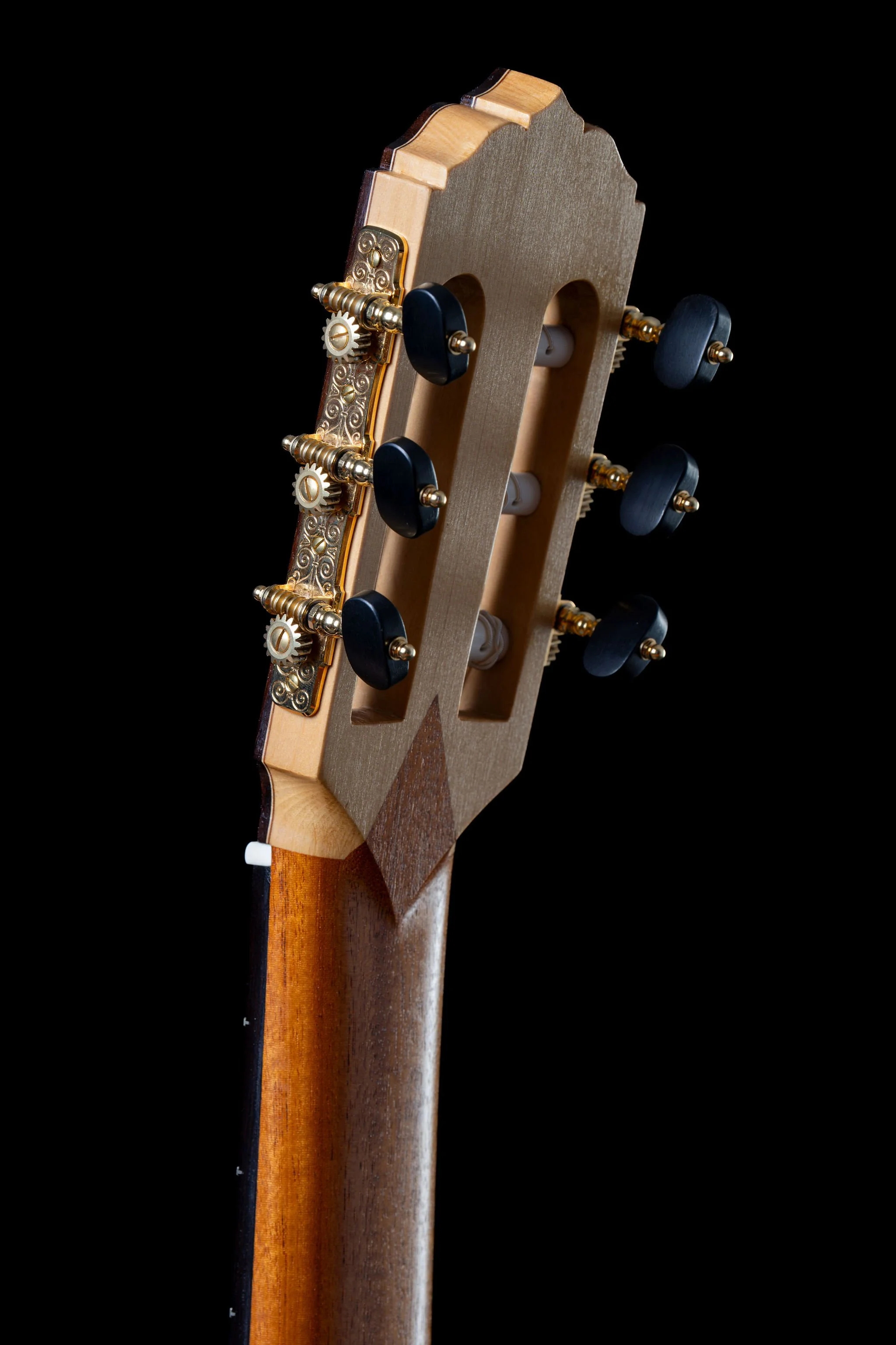 Adam Moore Cedar Rear Headstock.jpg