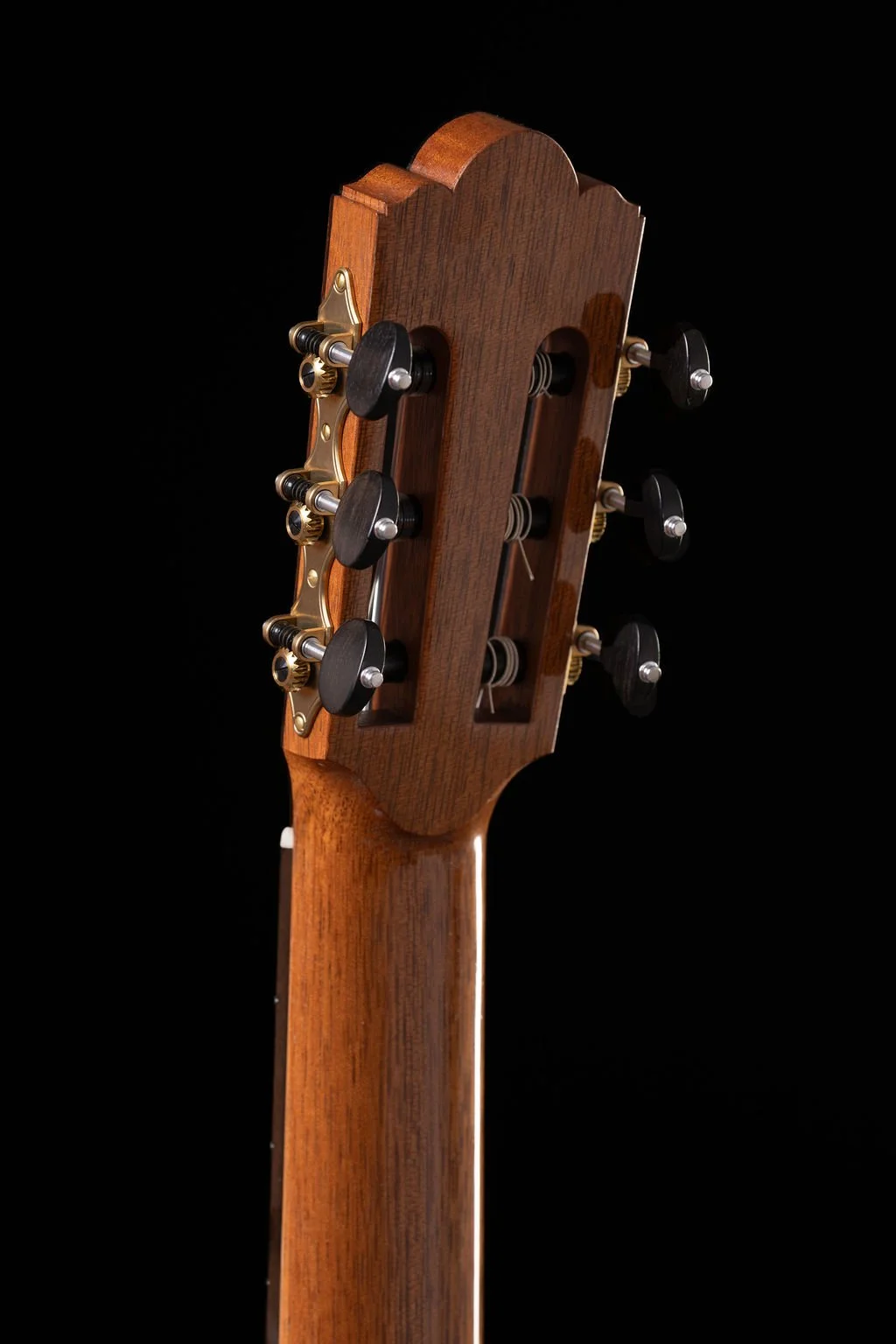 Cadiz headstock back.jpg