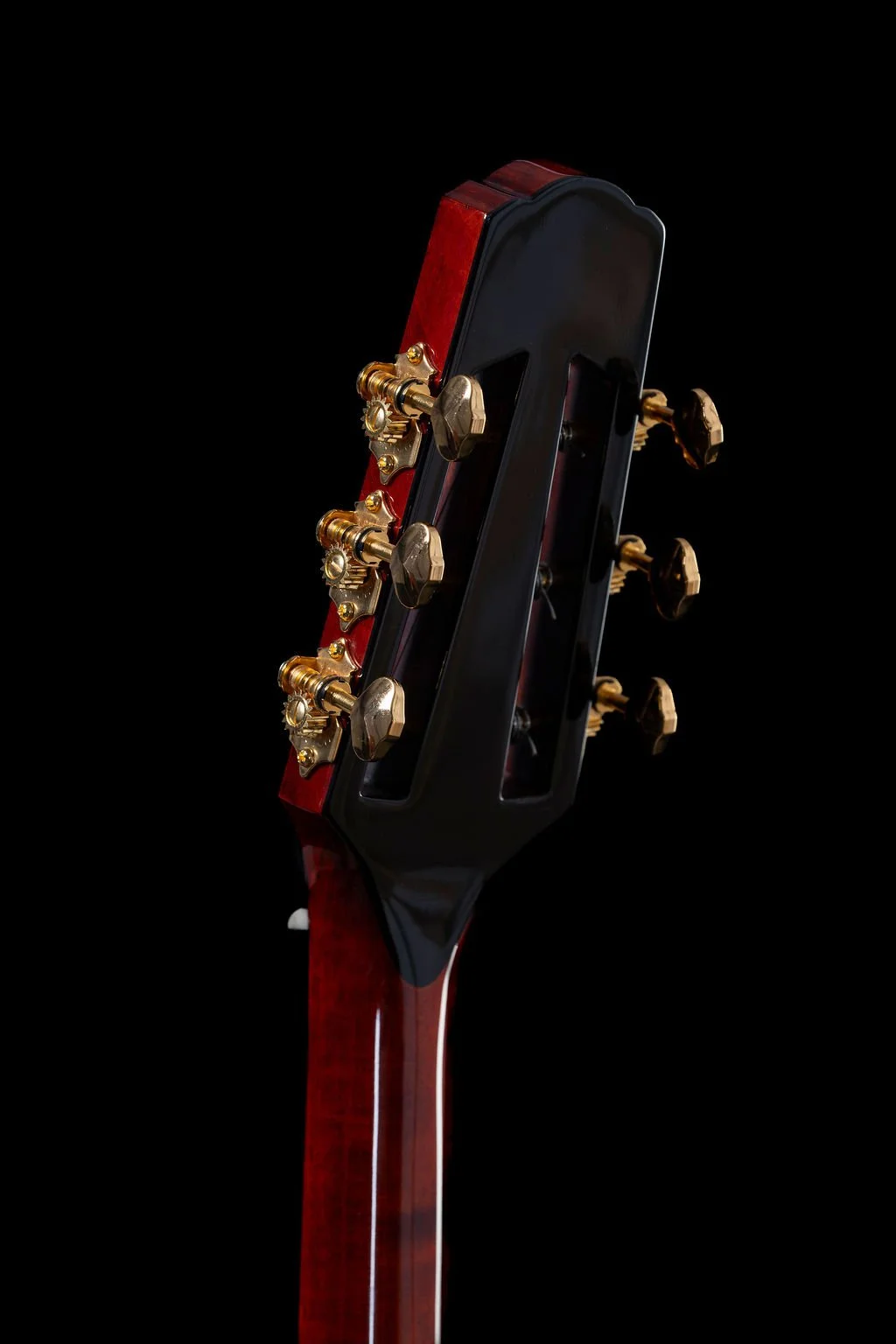 Eastman Headstock Rear.jpg