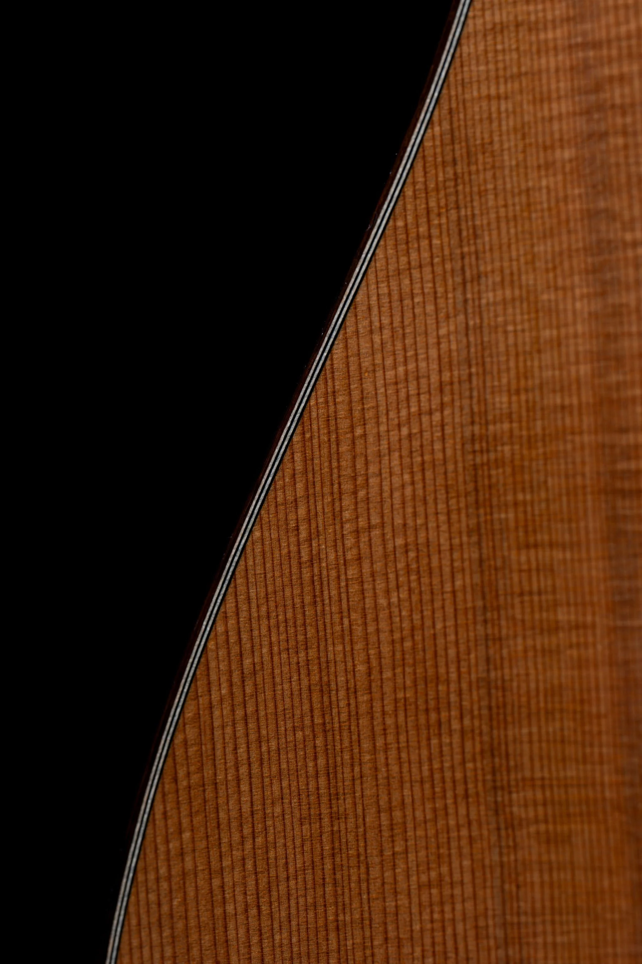 Adam Moore Cedar Binding.jpg