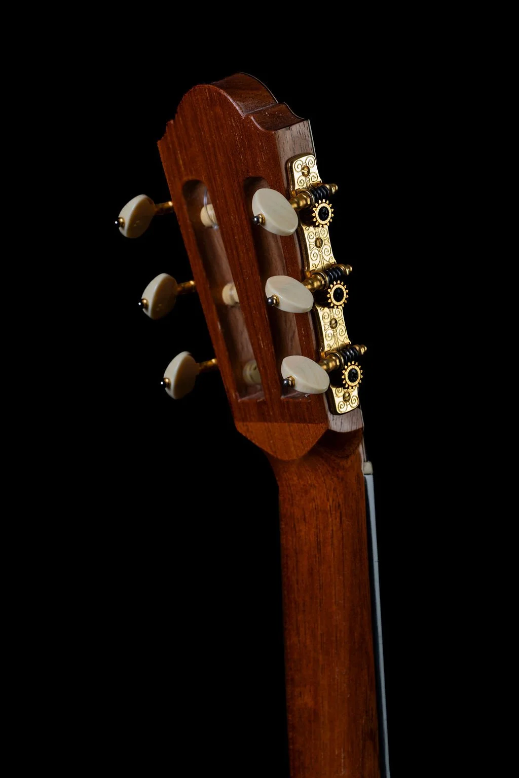 Thames Headstock Rear.jpg