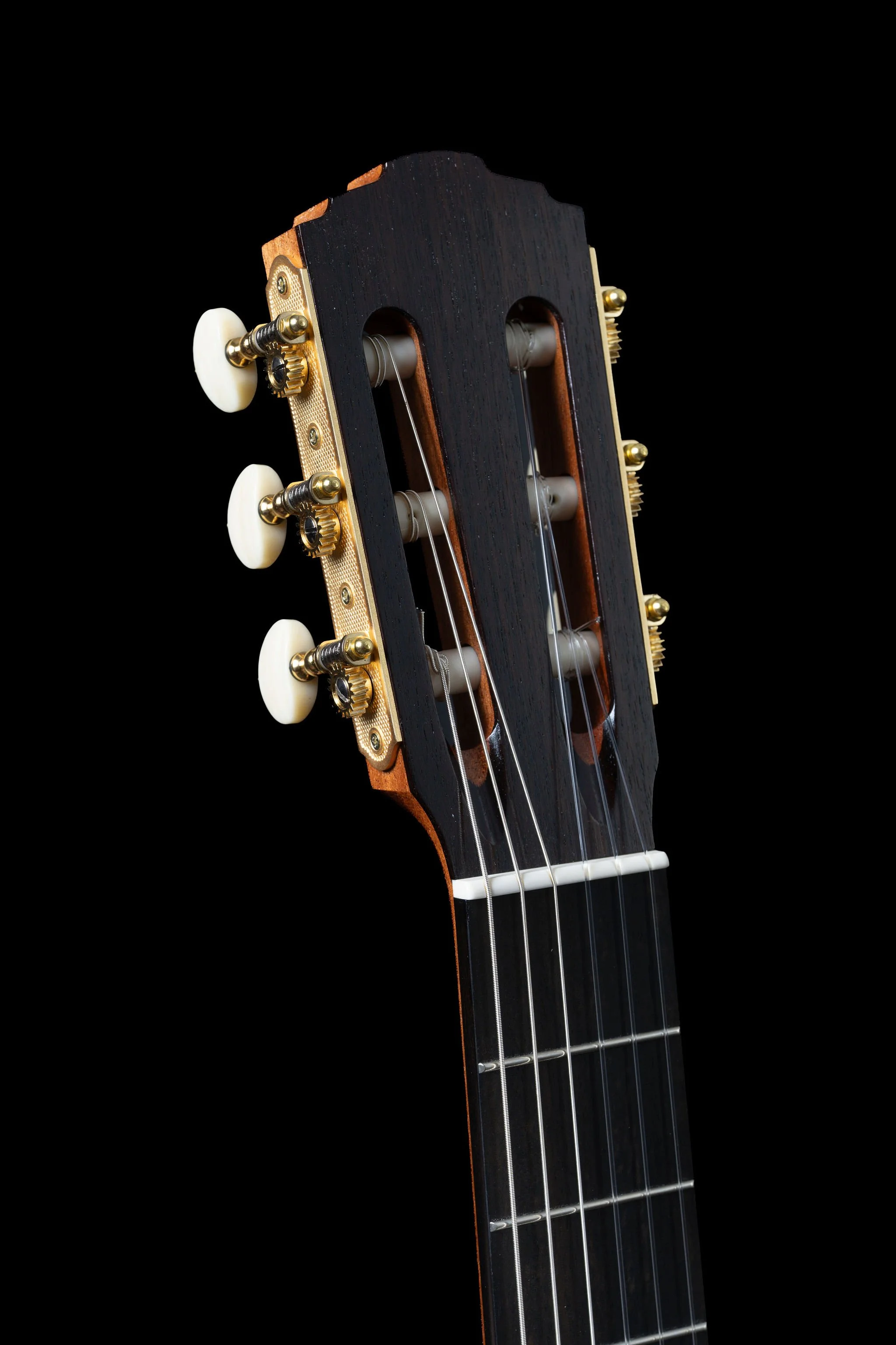 Furore Cedar headstock.jpg