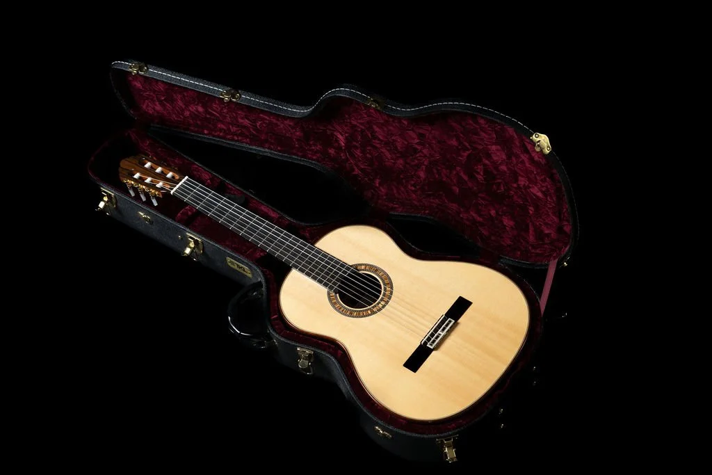 Brandt - Guitar in case.jpg