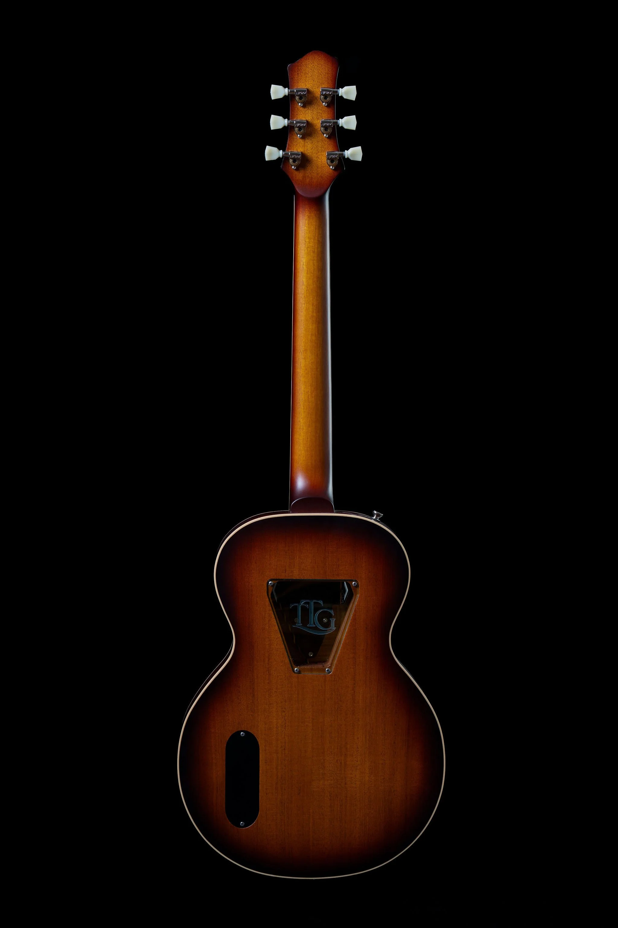 Texas T Icon Full Back.jpg