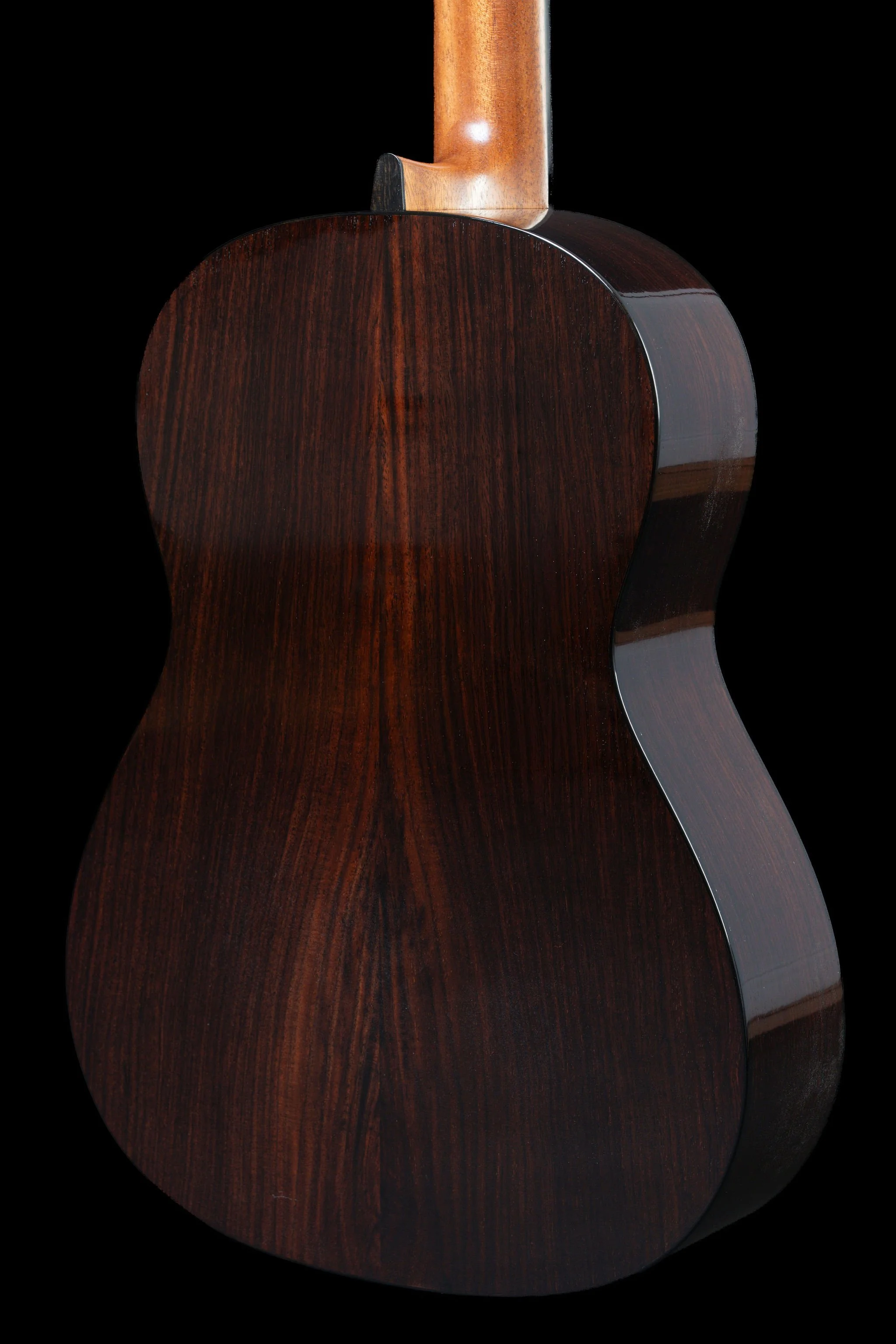 Furore spruce back detail.jpg