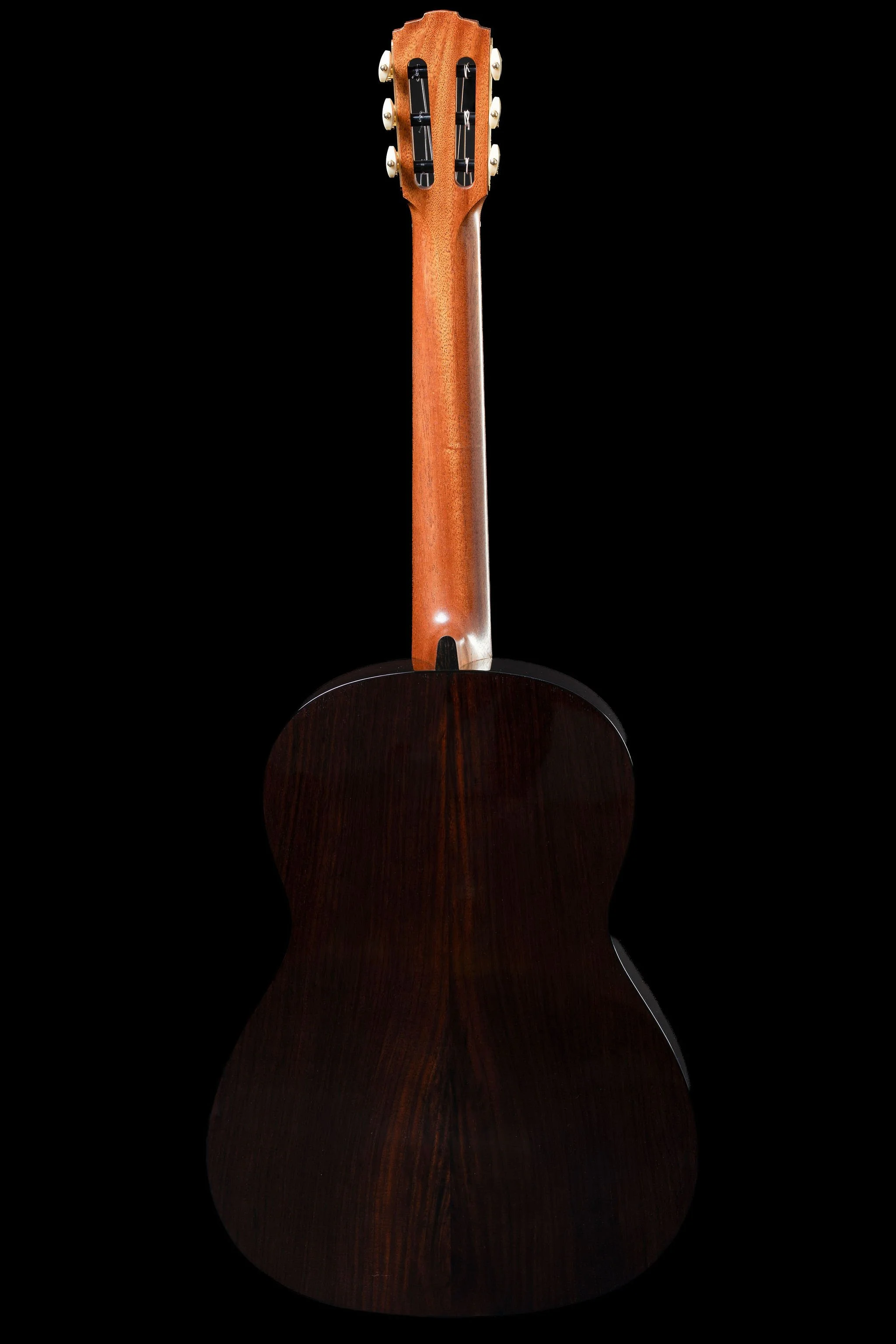Furore spruce full back.jpg
