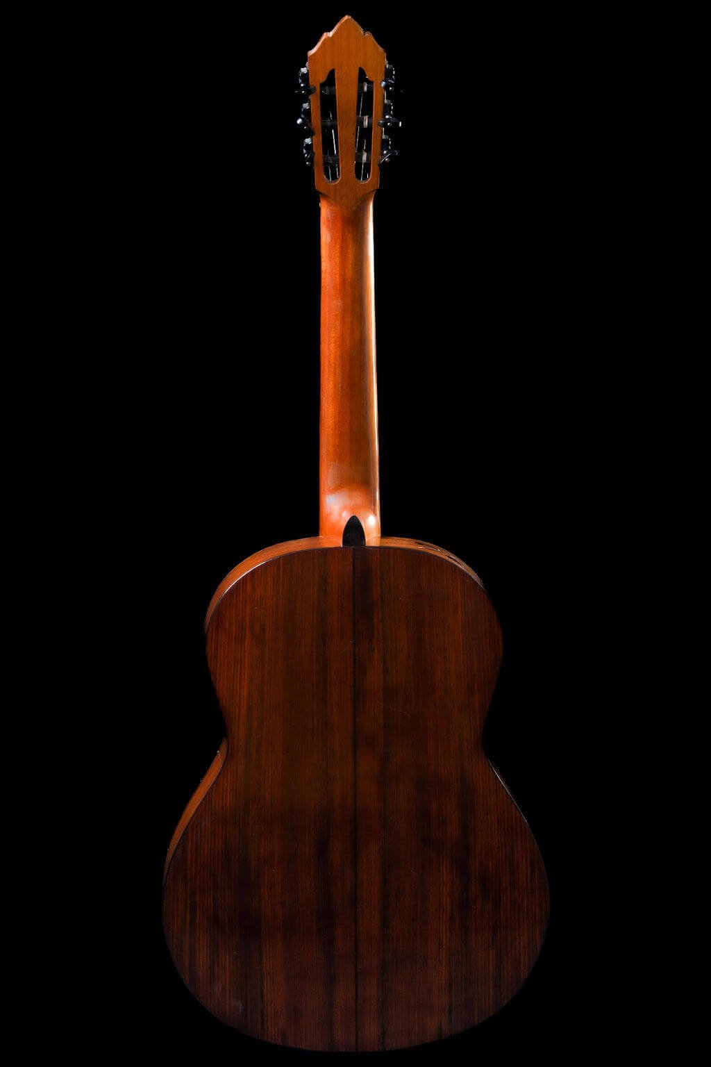 Back view of a guitar with cocobolo back and sides