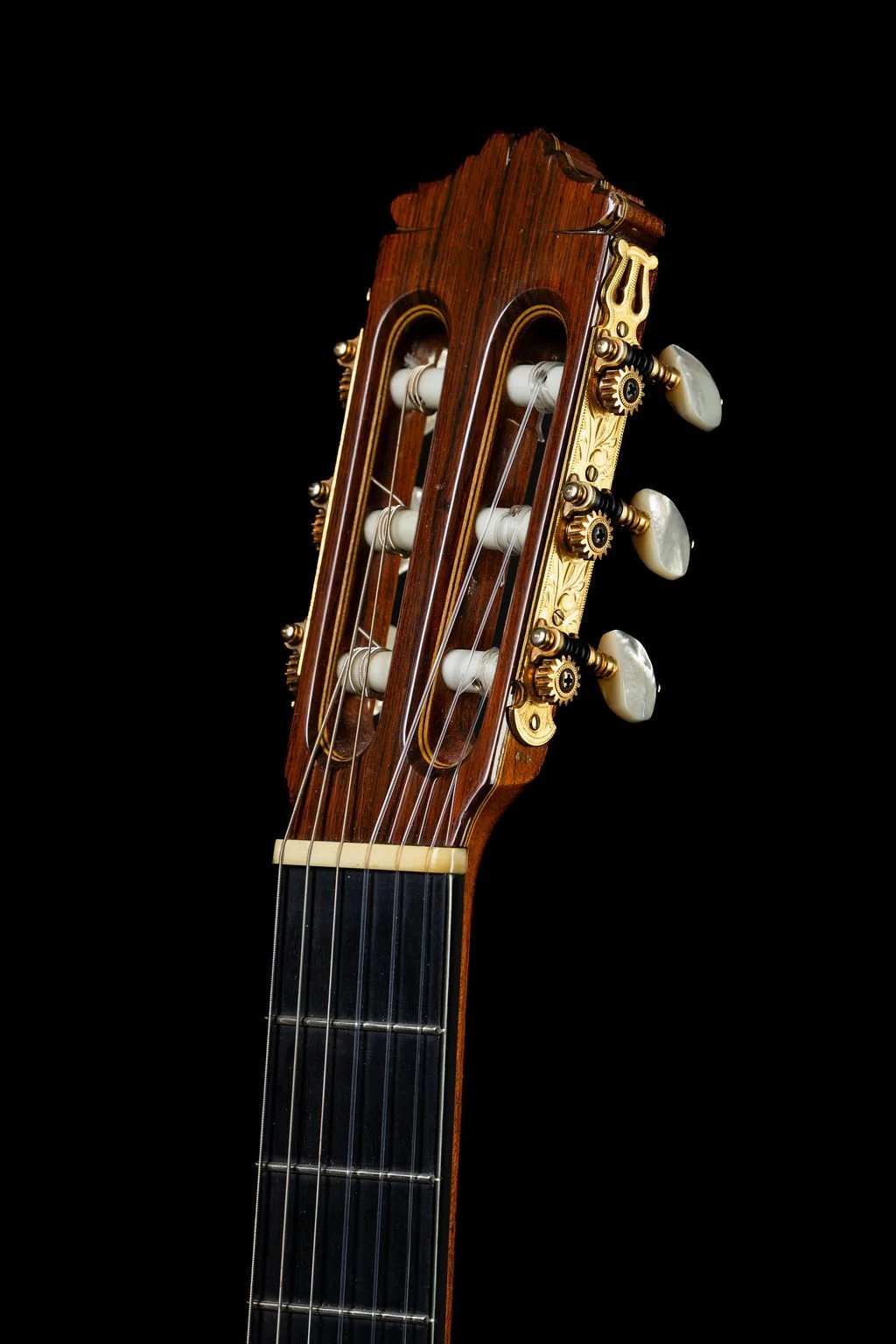 Rodriguez Headstock.jpg