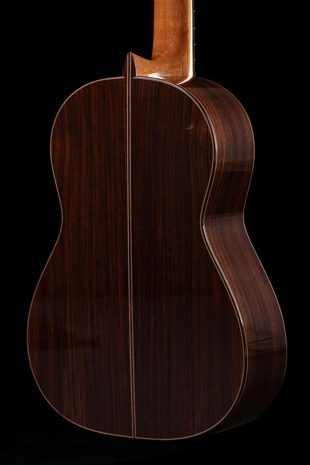 Cadiz back closeup.jpg