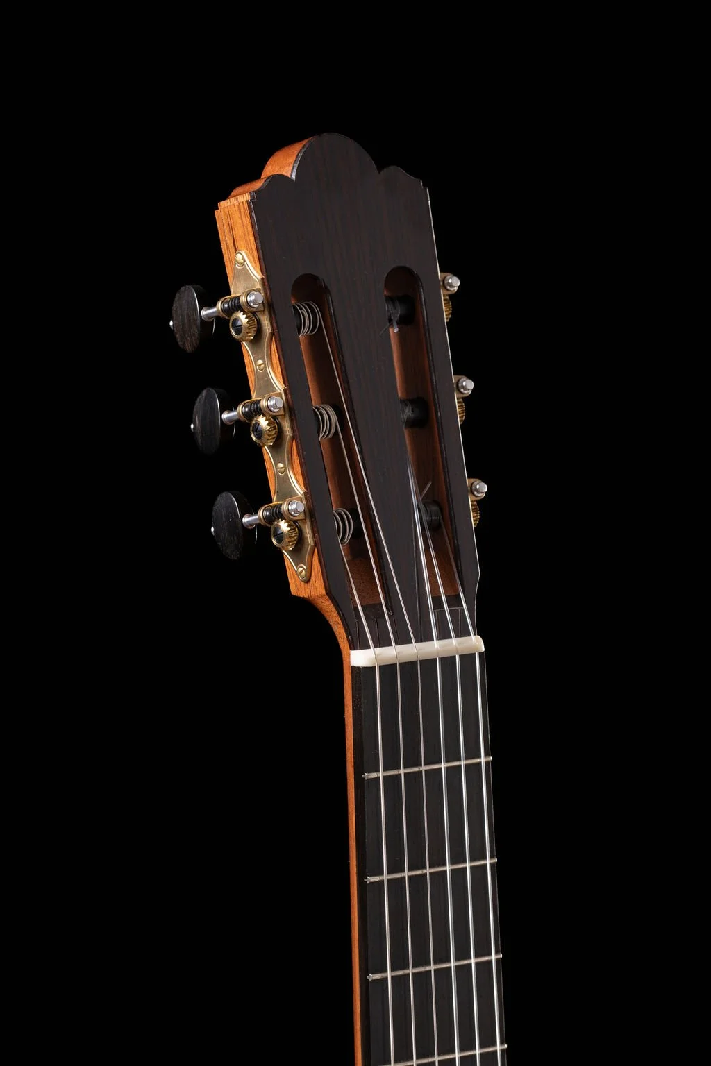 Cadiz headstock.jpg