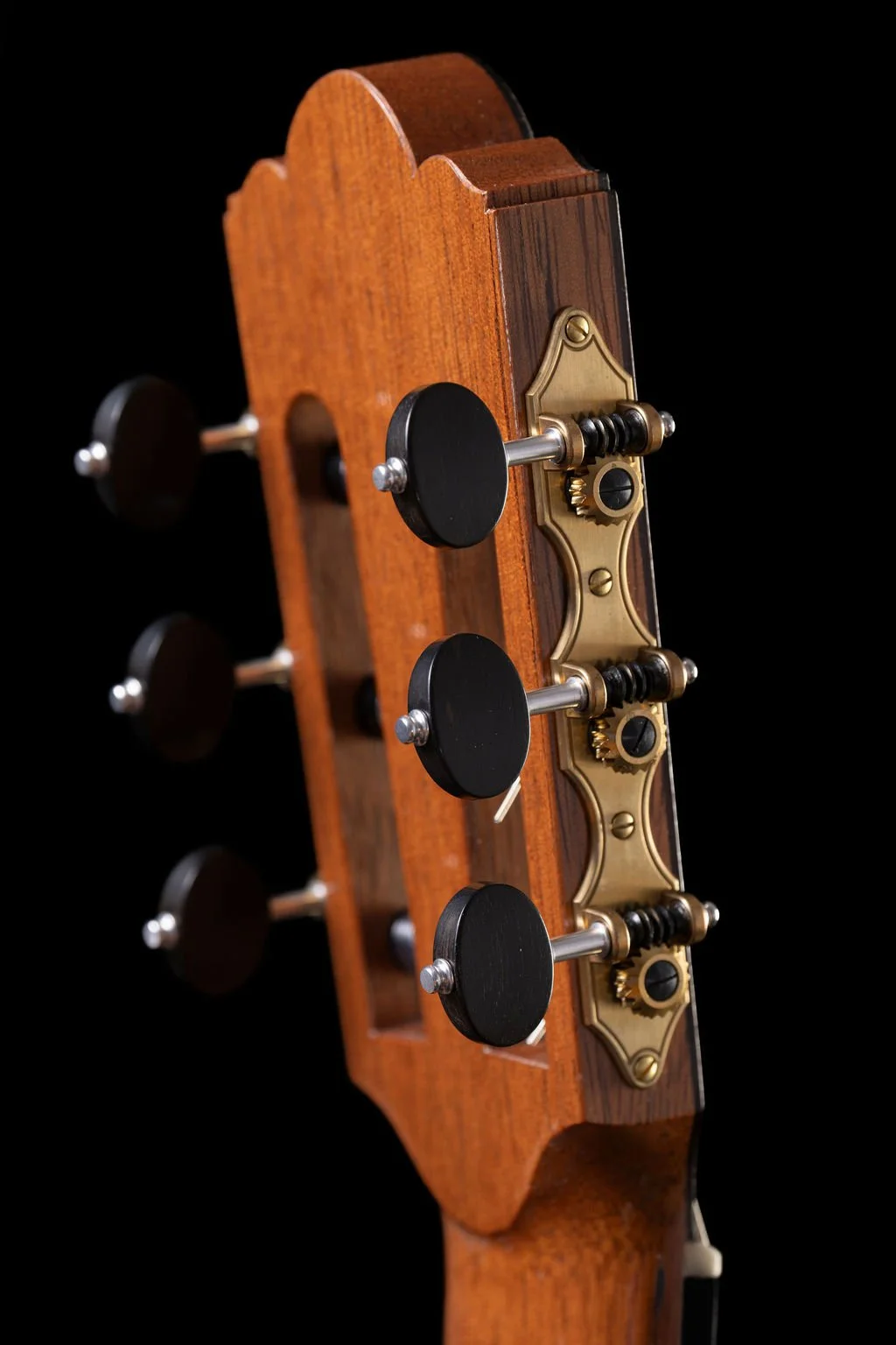 Cadis headstock side.jpg