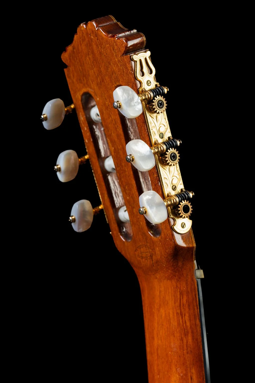 Rodriguez Rear Headstock.jpg