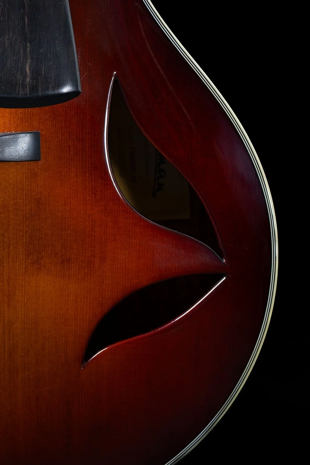 Eastman soundholes.jpg