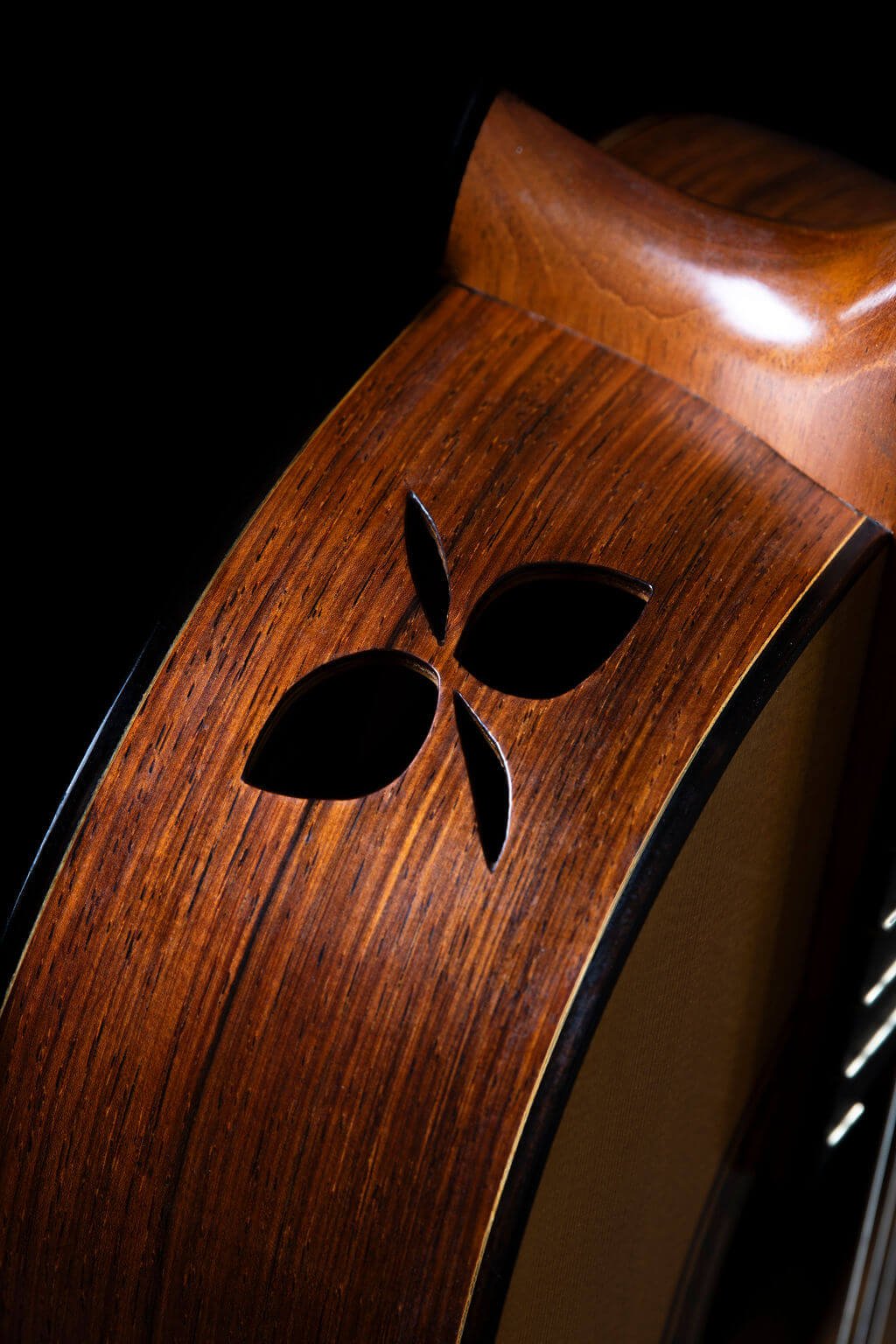 Closeup view of cocobolo side with hand-carved soundport
