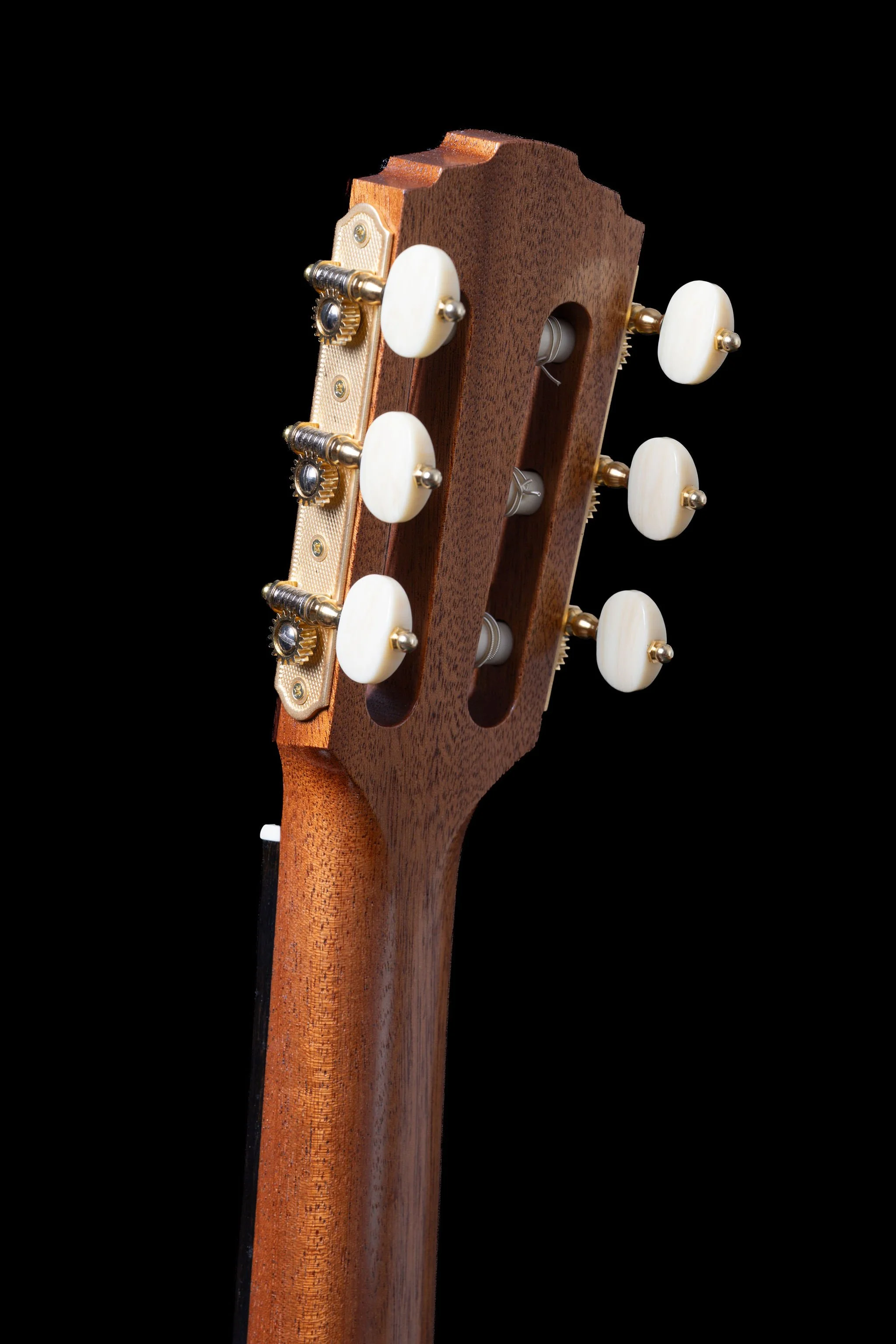 Furore Cedar headstock rear.jpg