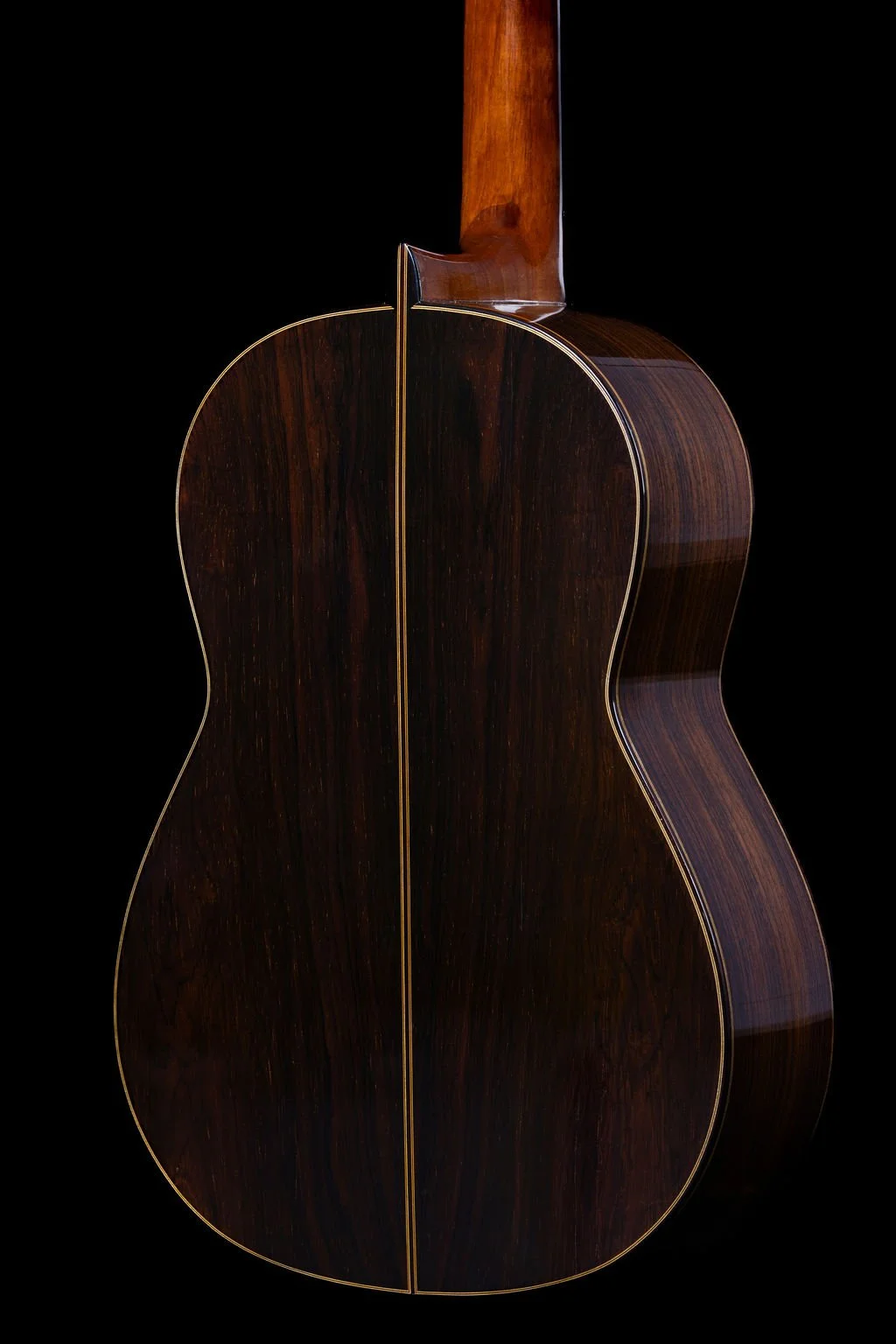 Rodriguez Back Detail.jpg