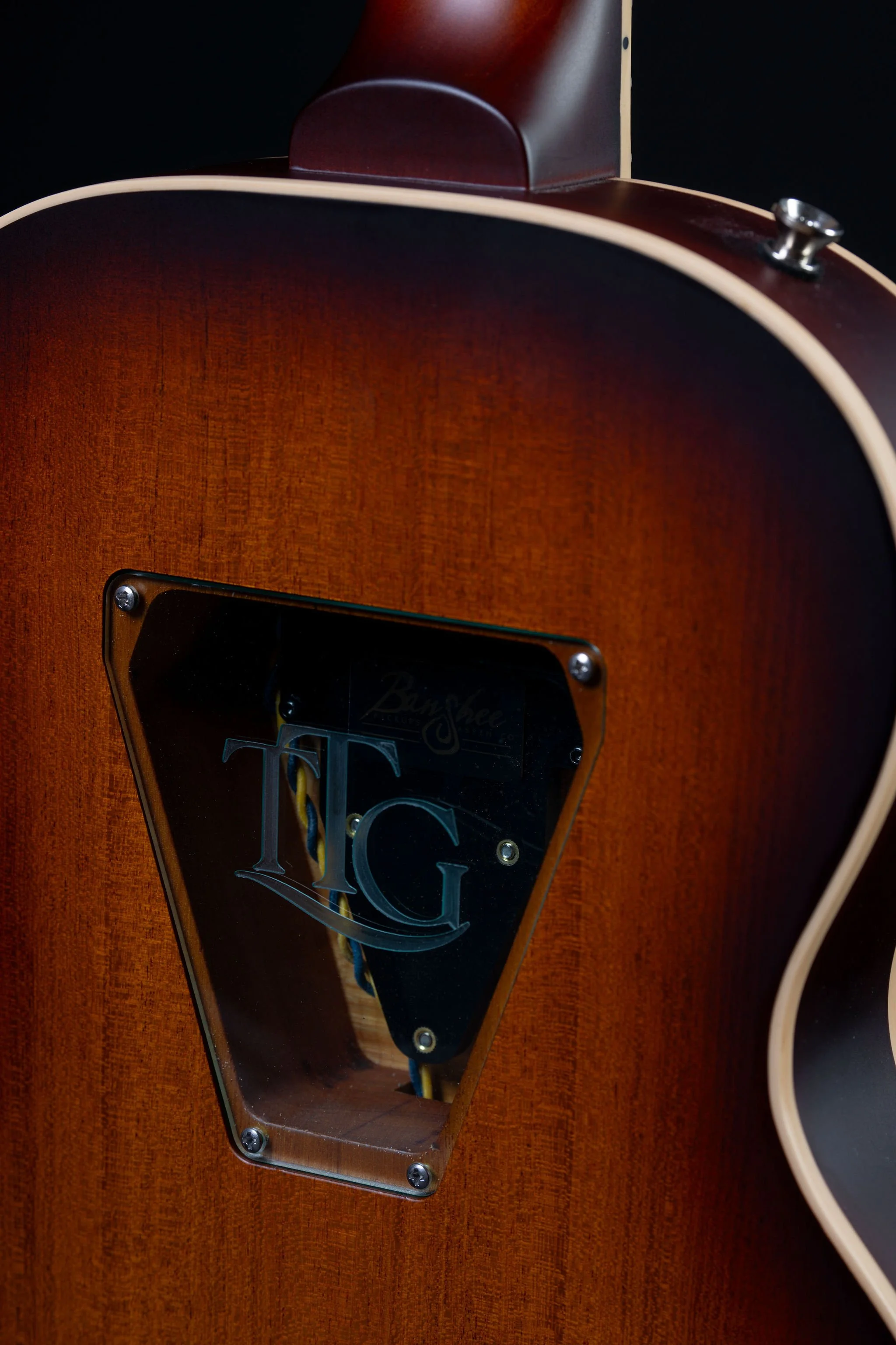 Texas T Icon Back Plate.jpg