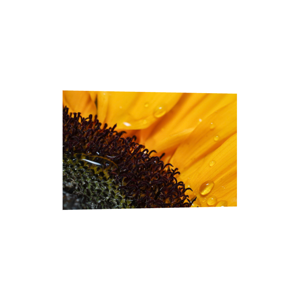 ptq_1_3_0_0_2559_1706_0_false_ffffff_0_0_.png