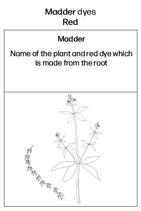 FINAL FINAL Nature Tags for Dyes-06.png
