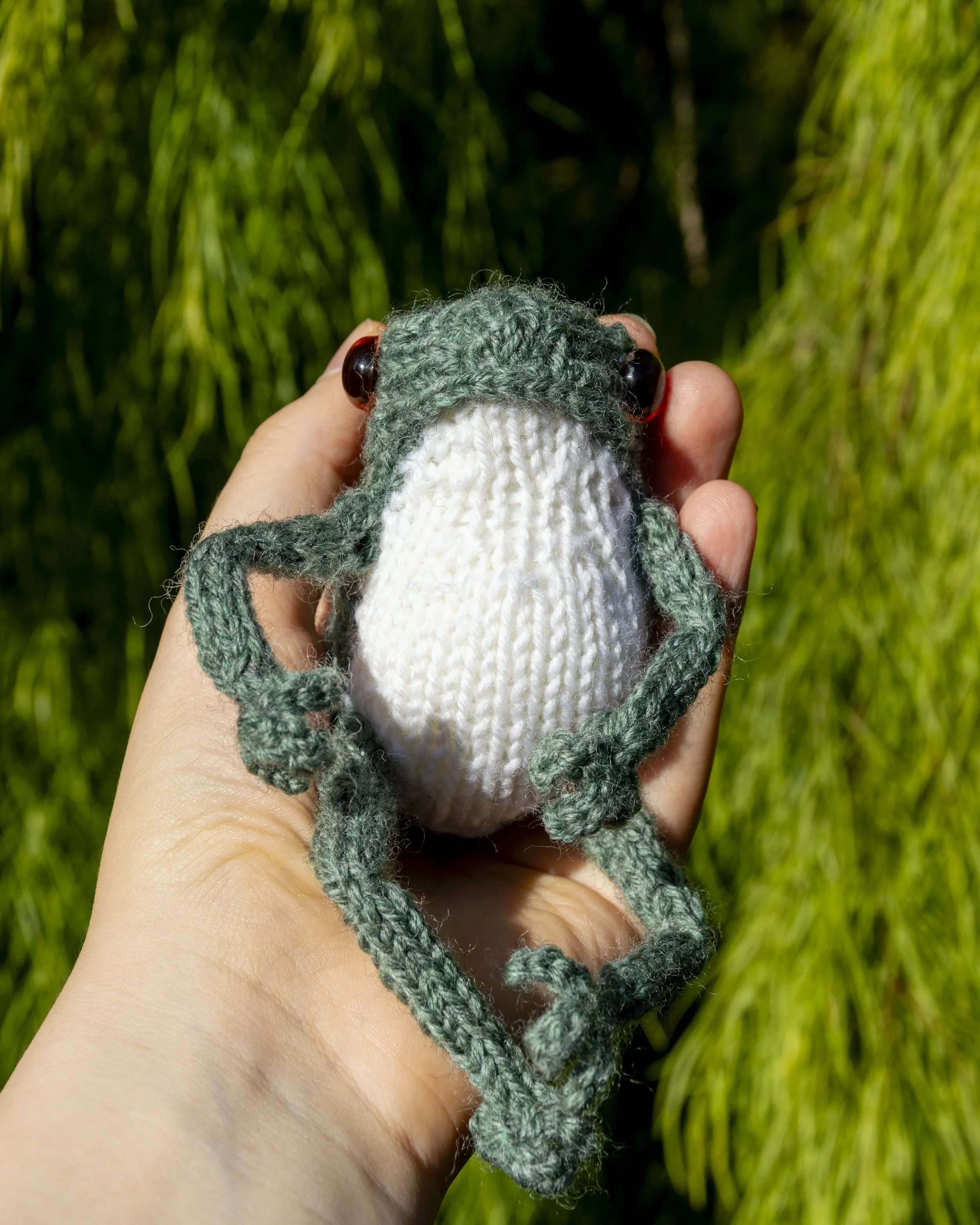 Frogs Size Comparison — Lloyd Handmade