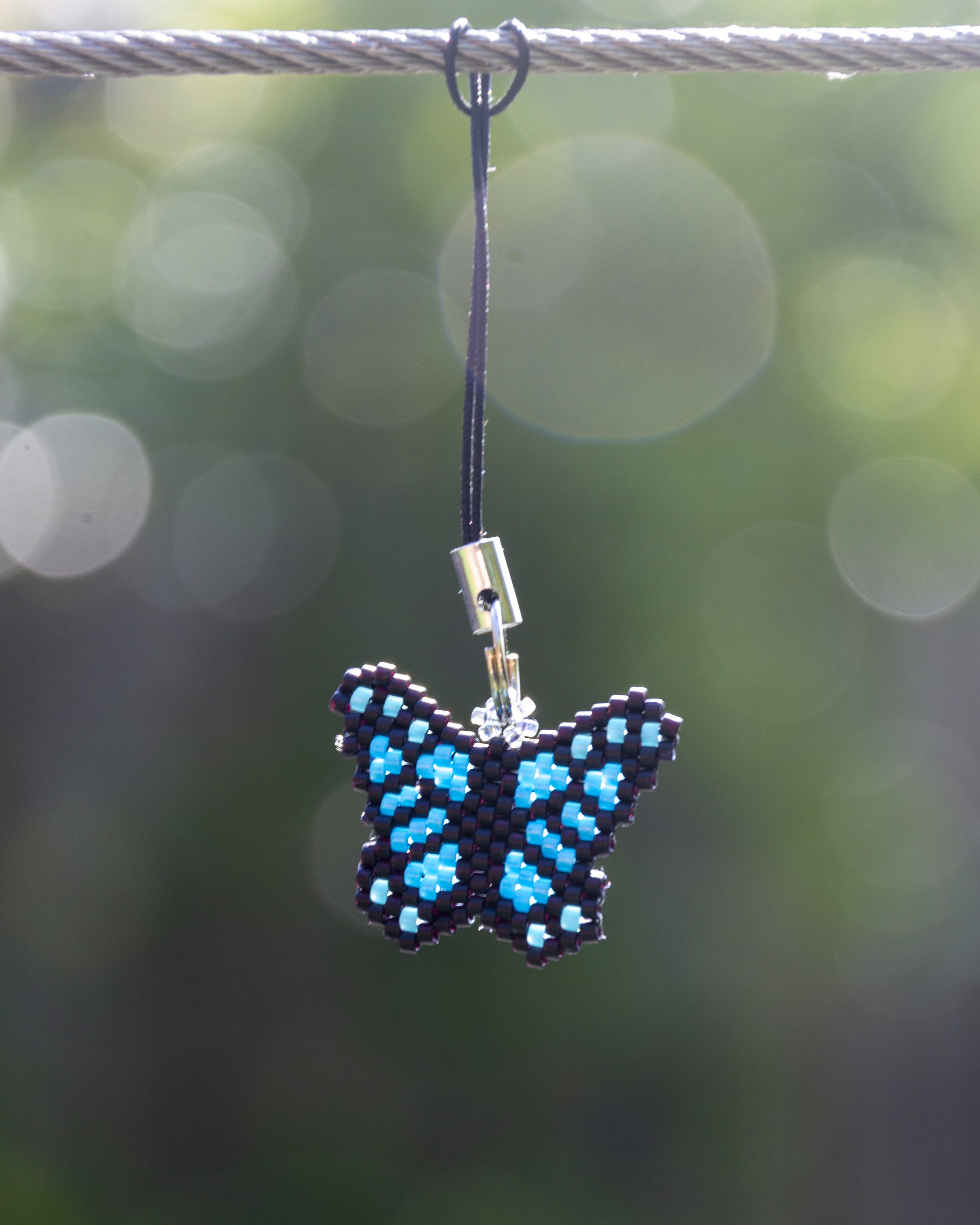 Anna's Butterflies (8).jpg