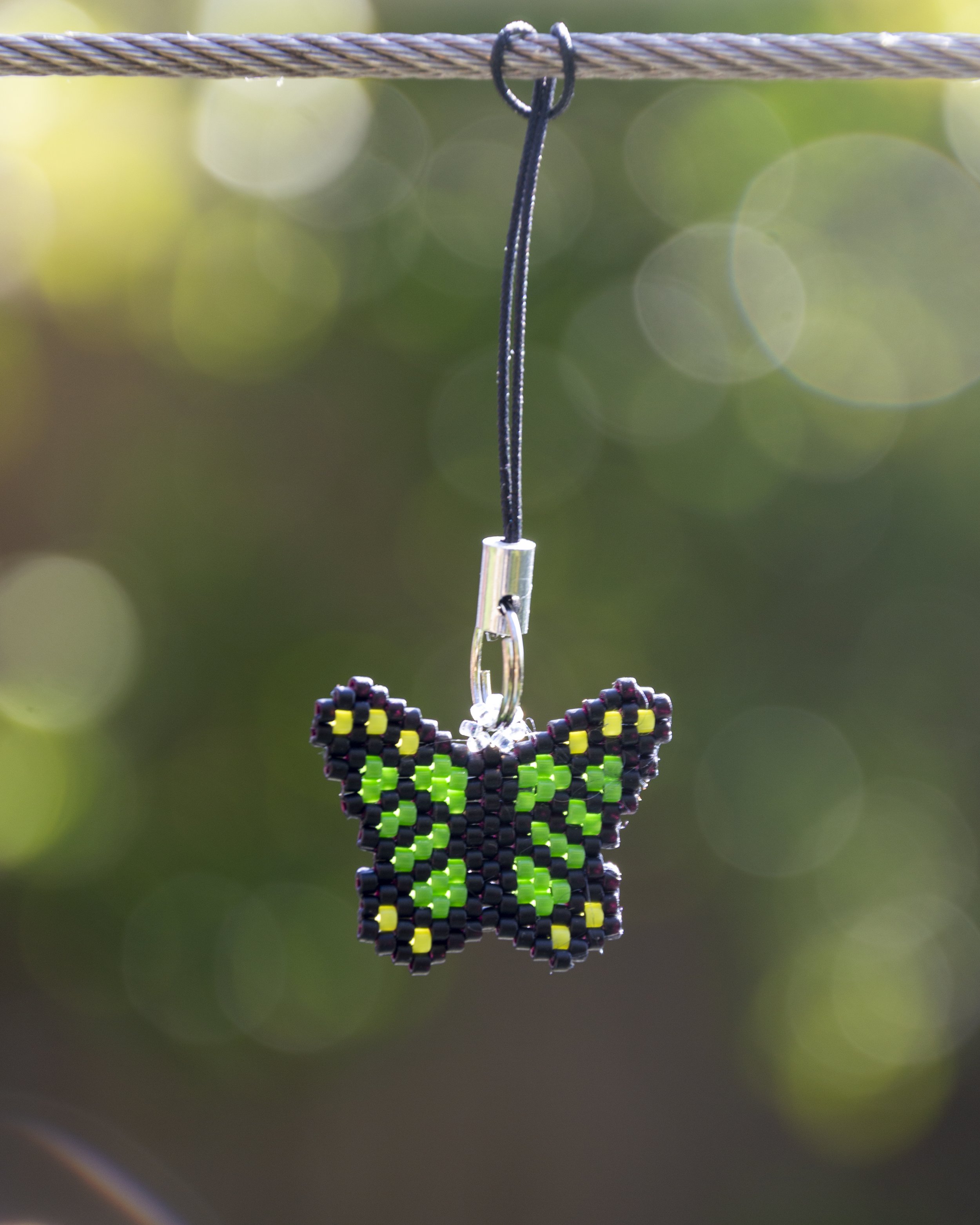Anna's Butterflies (7).jpg