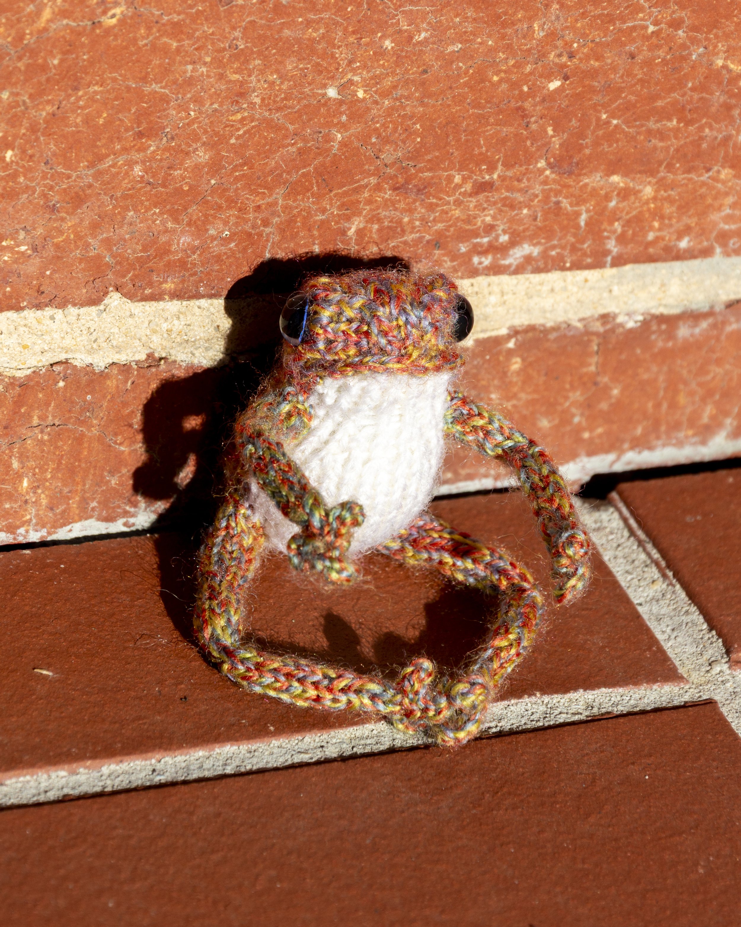 FrogsFeb25_Bricks (4).jpg