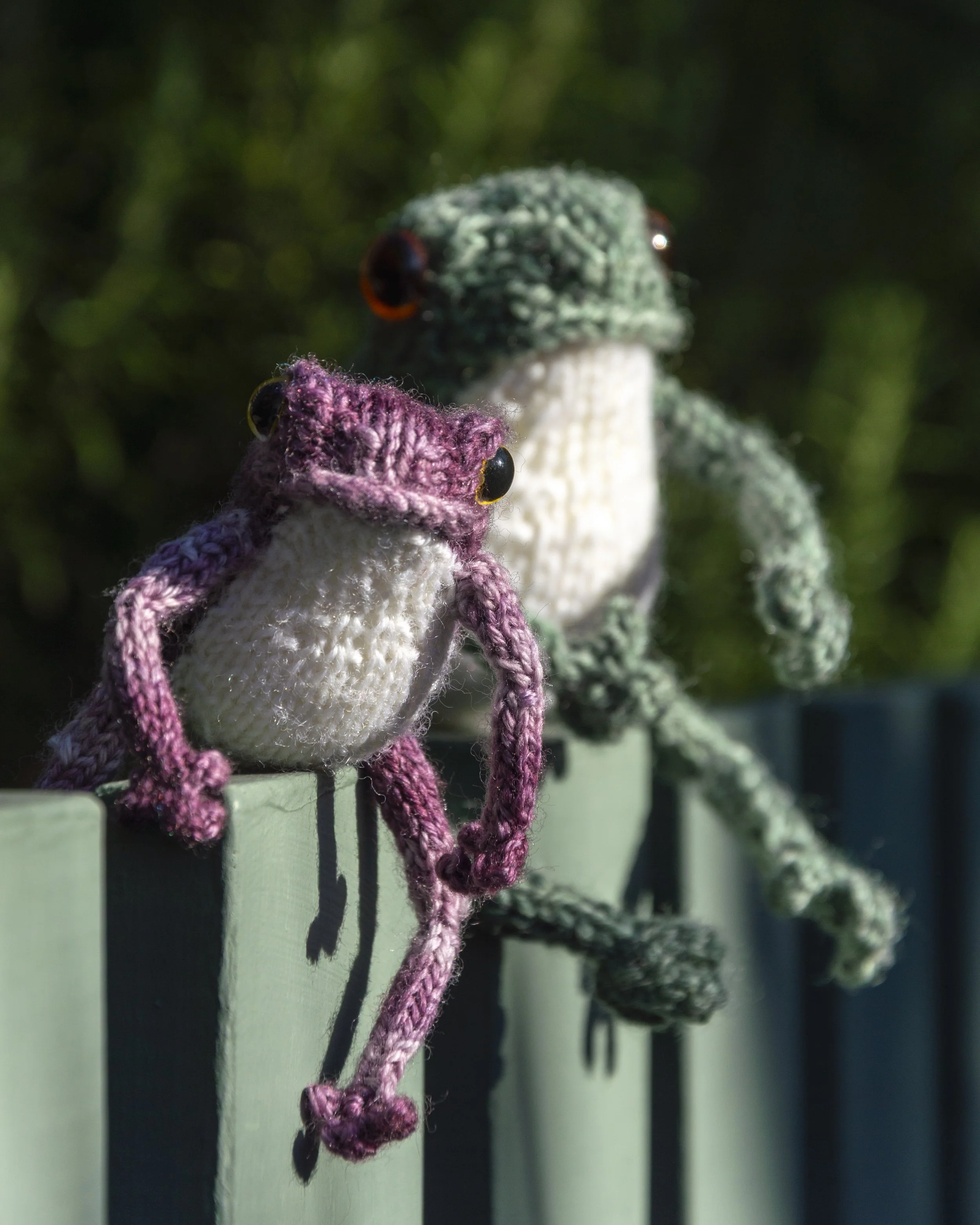 Frogs Size Comparison — Lloyd Handmade